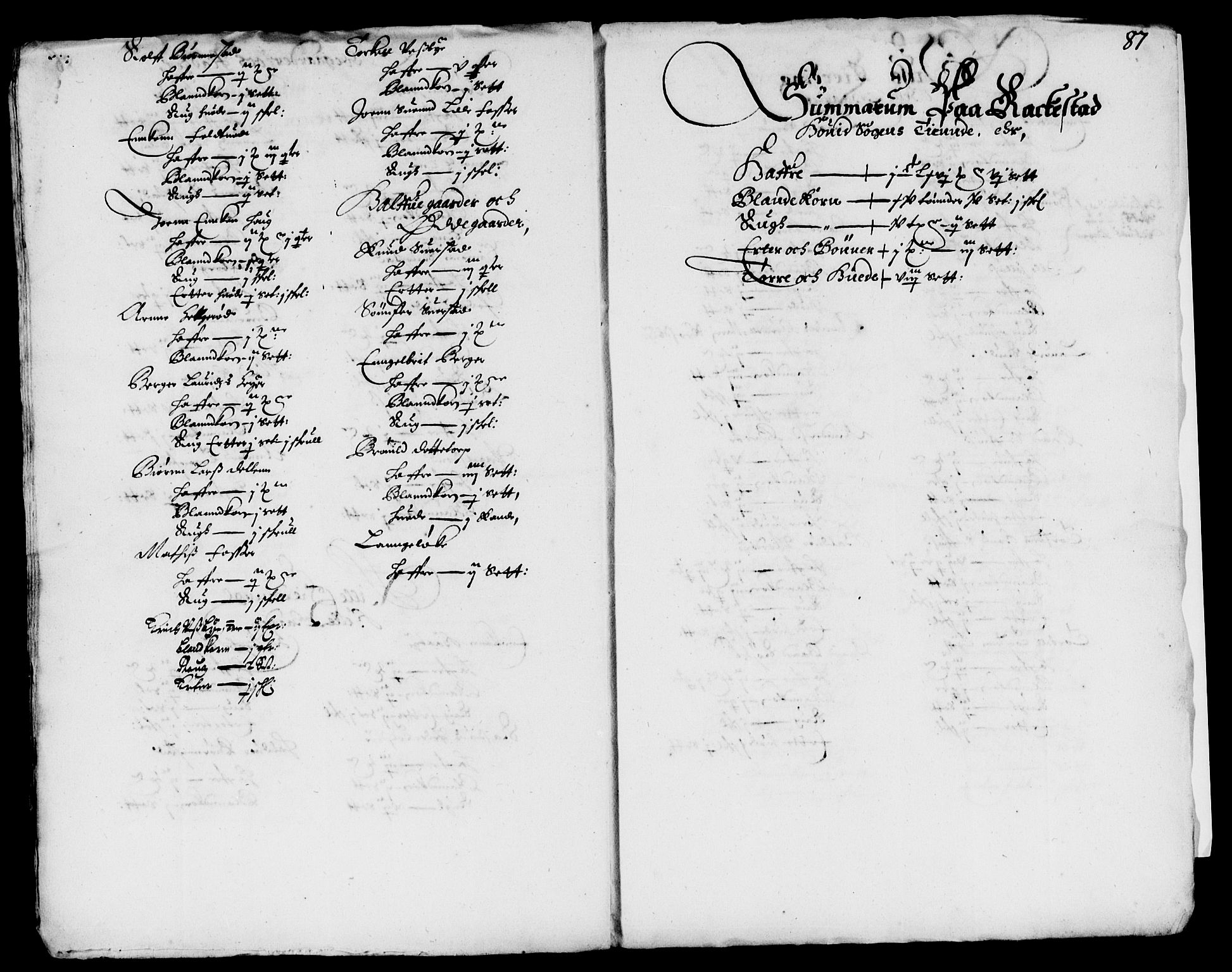 Rentekammeret inntil 1814, Reviderte regnskaper, Lensregnskaper, AV/RA-EA-5023/R/Rb/Rbd/L0009: Maria kirke prosti gods og Rakkestad len, 1664-1665