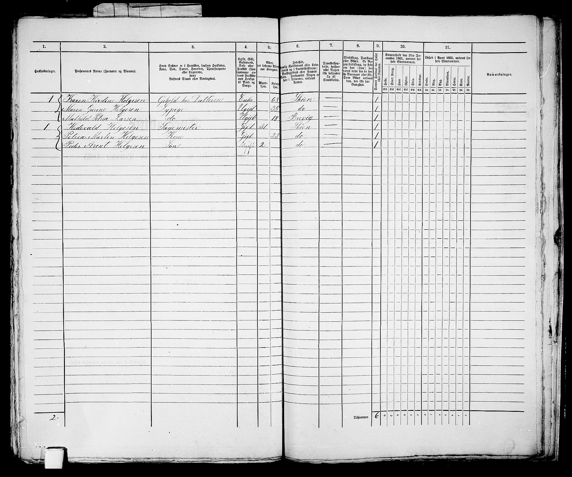 RA, 1865 census for Skien, 1865, p. 1245