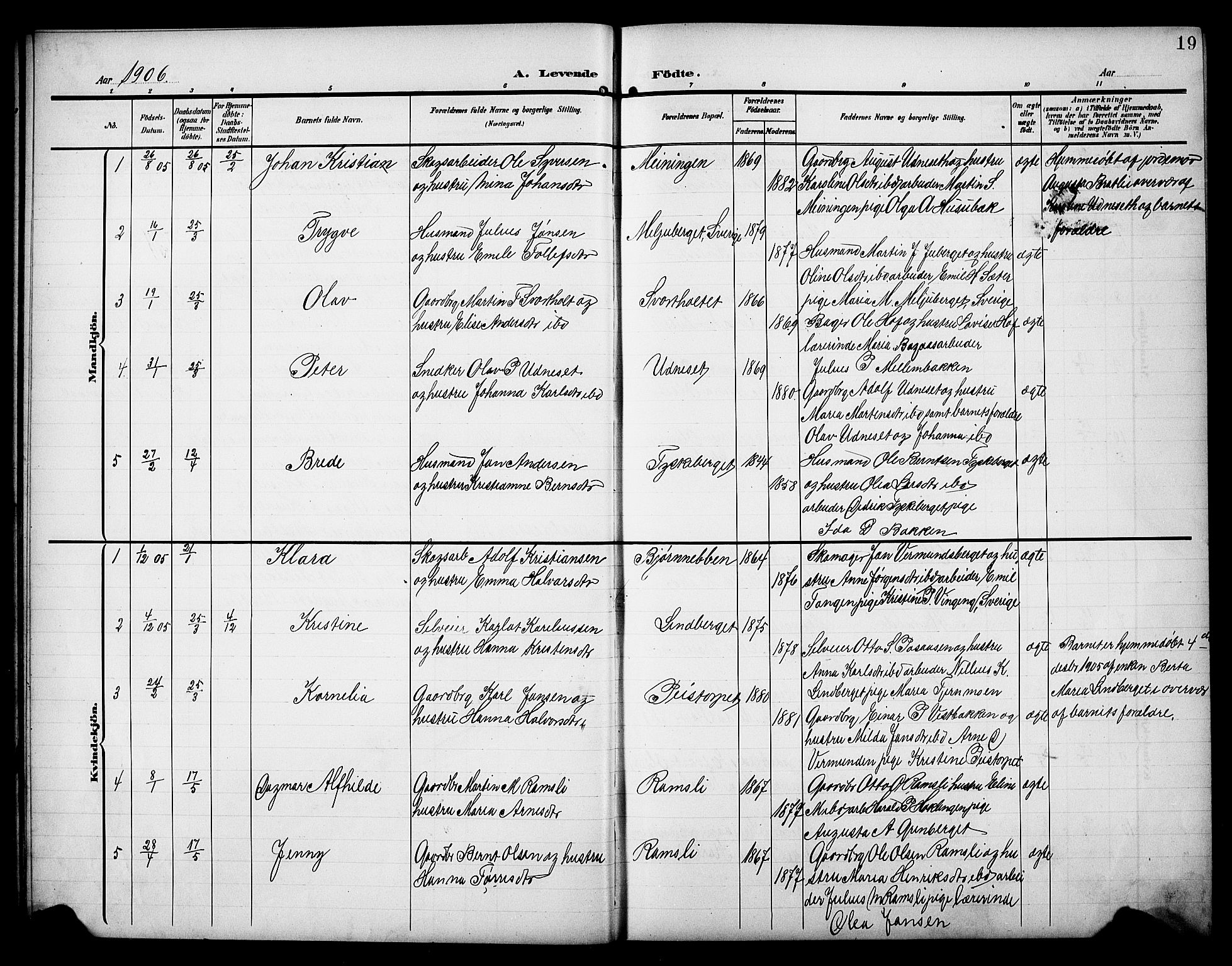 Åsnes prestekontor, AV/SAH-PREST-042/H/Ha/Hab/L0006: Parish register (copy) no. 6, 1903-1929, p. 19