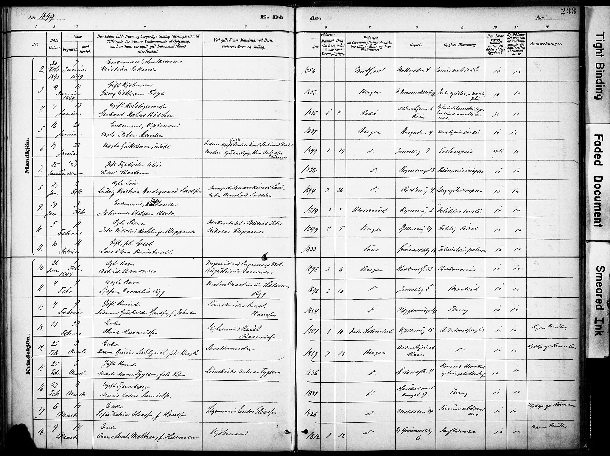 Domkirken sokneprestembete, AV/SAB-A-74801/H/Haa/L0043: Parish register (official) no. E 5, 1882-1904, p. 233