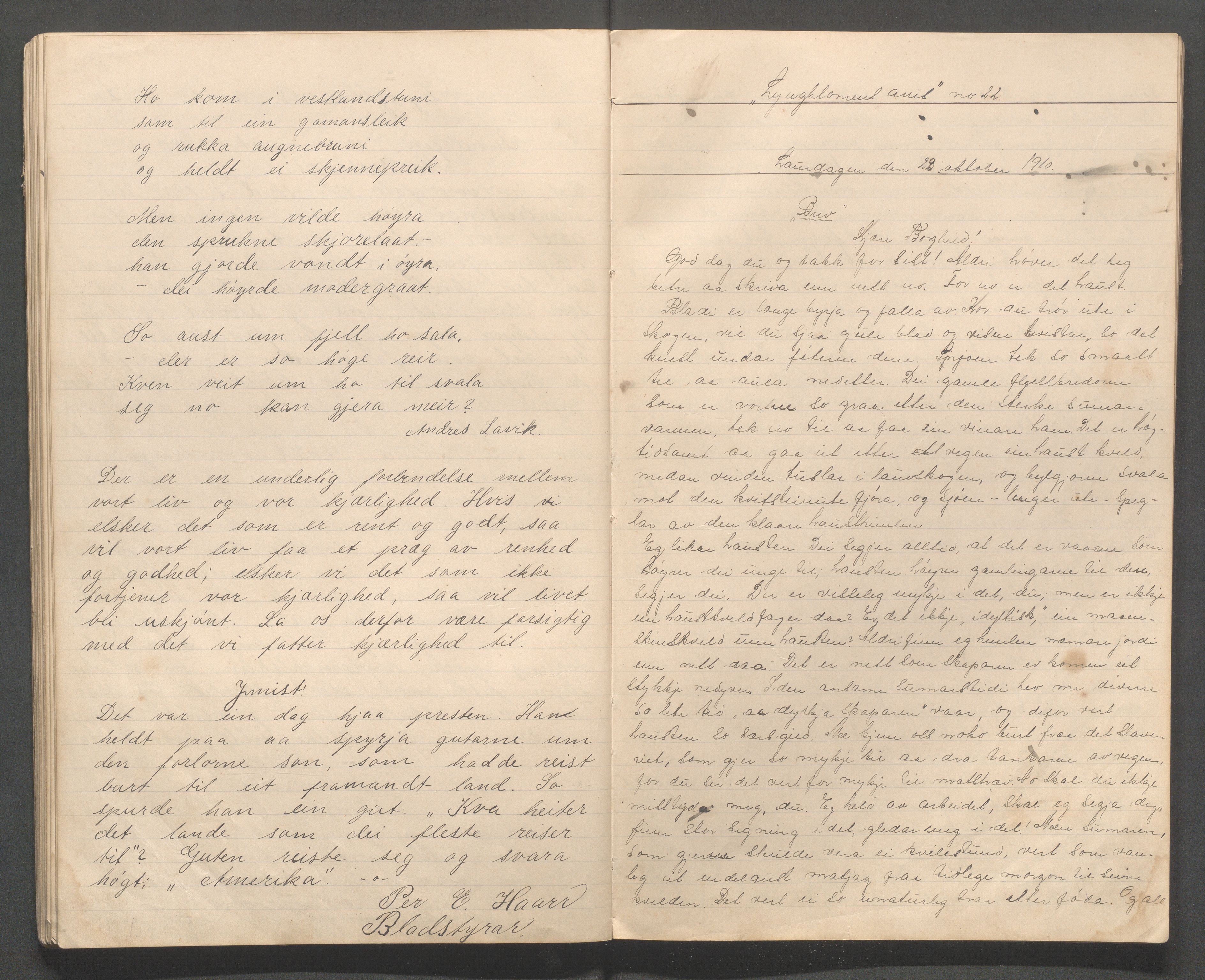 Hå kommune - PA 067  IOGT losje "Lyngblomen", IKAR/A-320/G/L0001:  "Lyngblomens avis, 1907-1912, p. 46