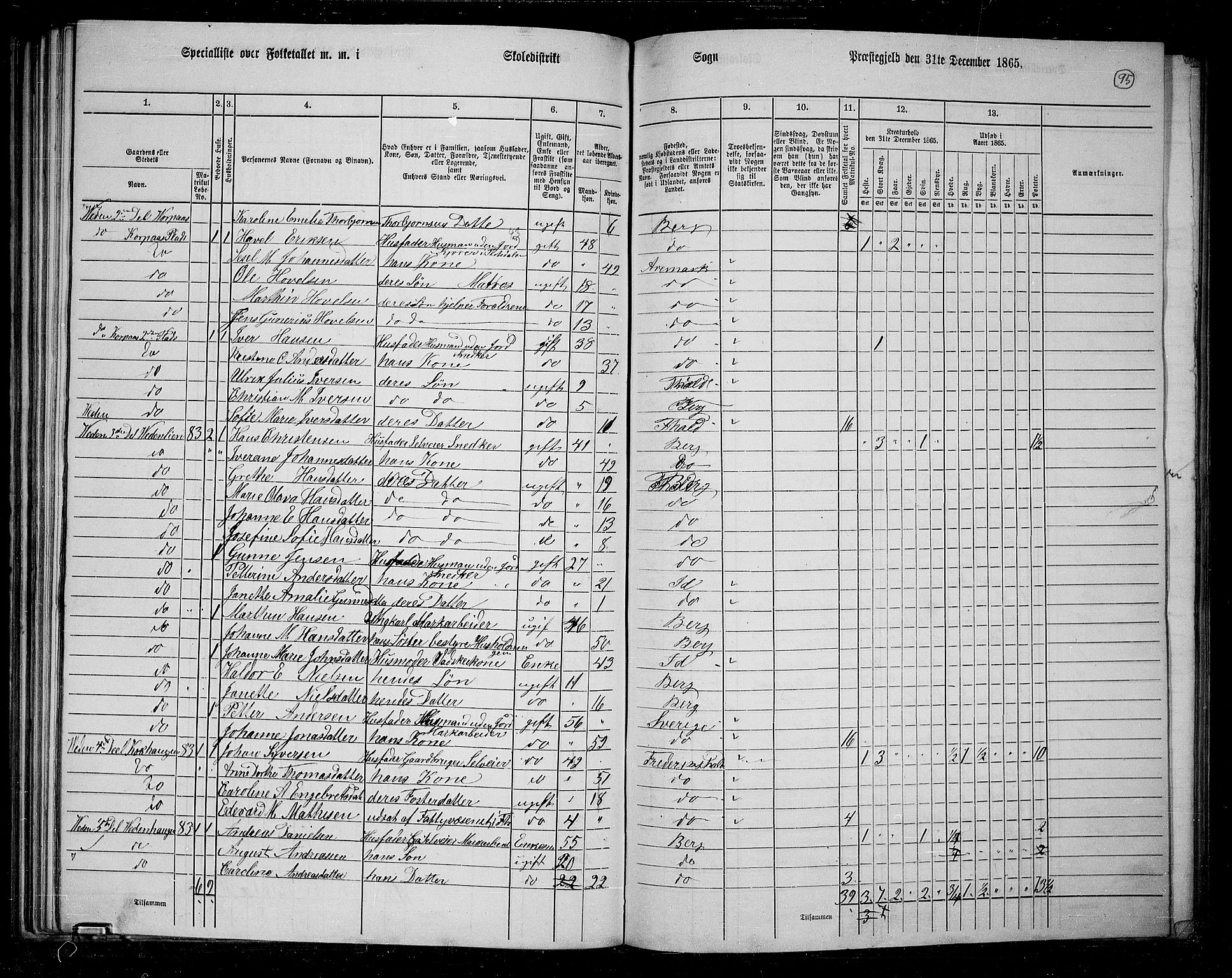 RA, 1865 census for Berg, 1865, p. 84