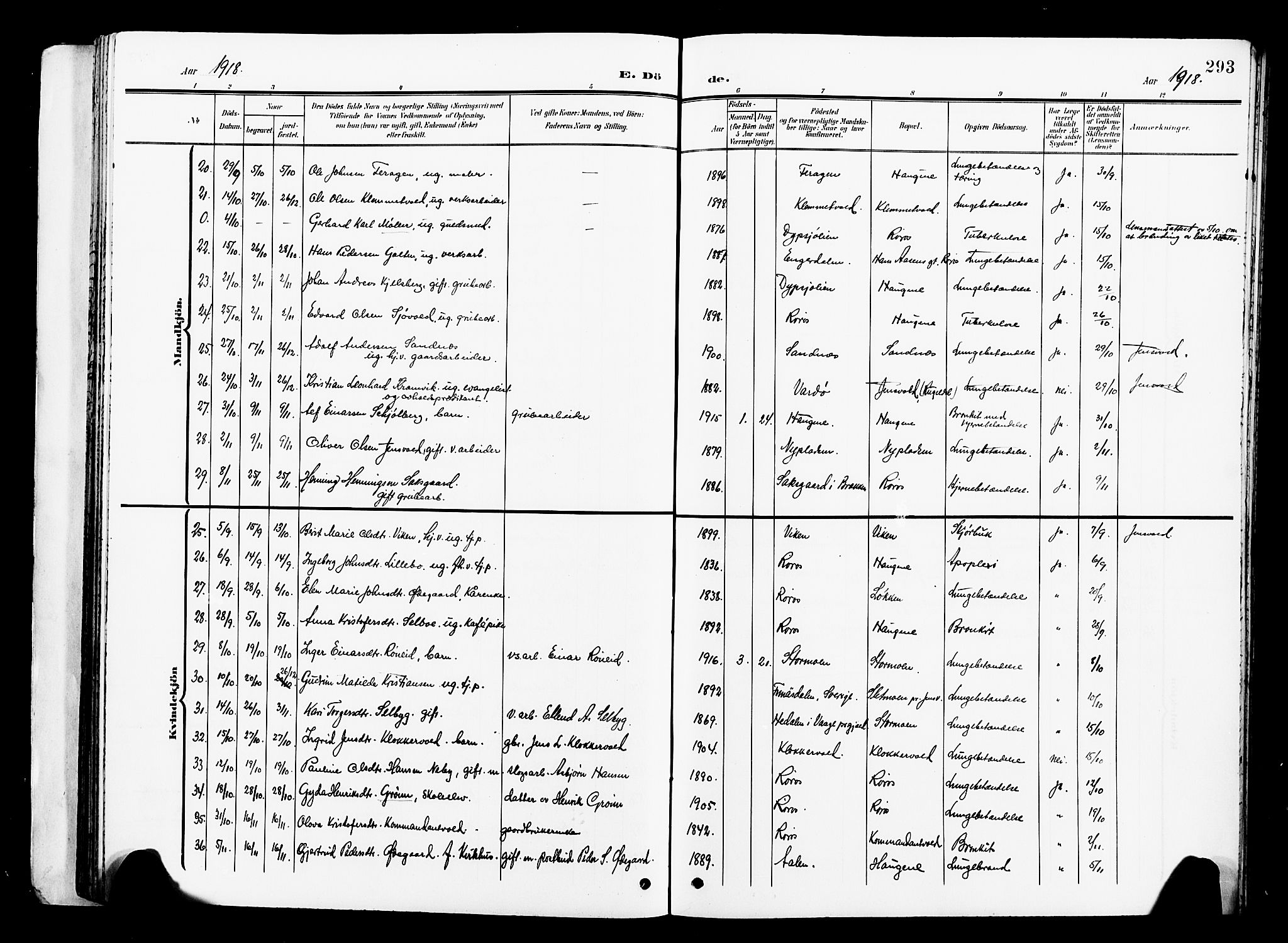 Ministerialprotokoller, klokkerbøker og fødselsregistre - Sør-Trøndelag, SAT/A-1456/681/L0942: Parish register (copy) no. 681C06, 1906-1925, p. 293