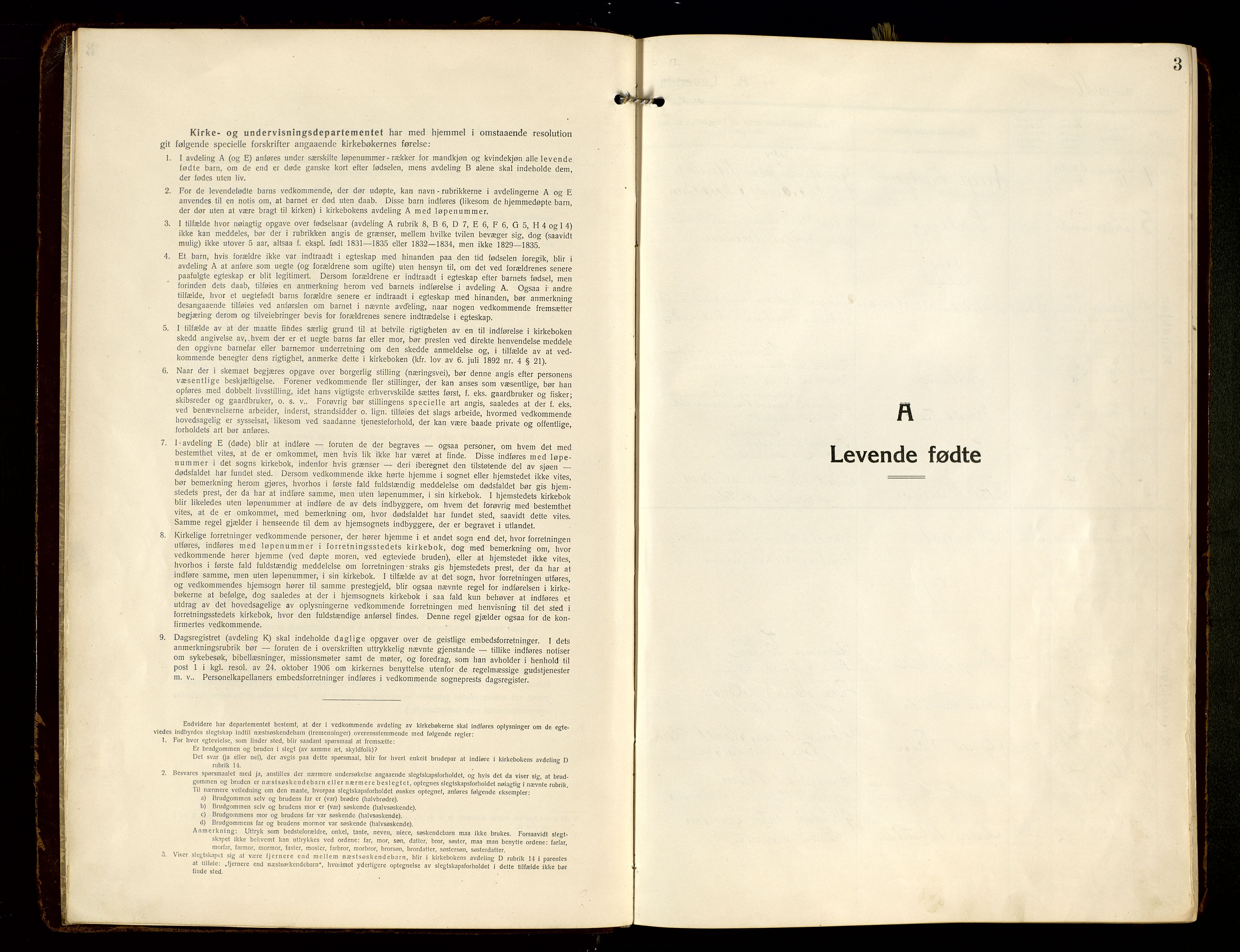 Hommedal sokneprestkontor, SAK/1111-0023/F/Fa/Faa/L0004: Parish register (official) no. A 4, 1916-1945, p. 3