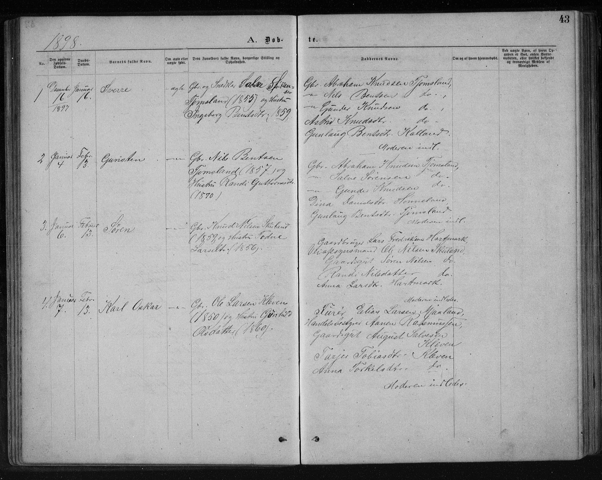 Holum sokneprestkontor, SAK/1111-0022/F/Fb/Fbb/L0003: Parish register (copy) no. B 3, 1875-1898, p. 43