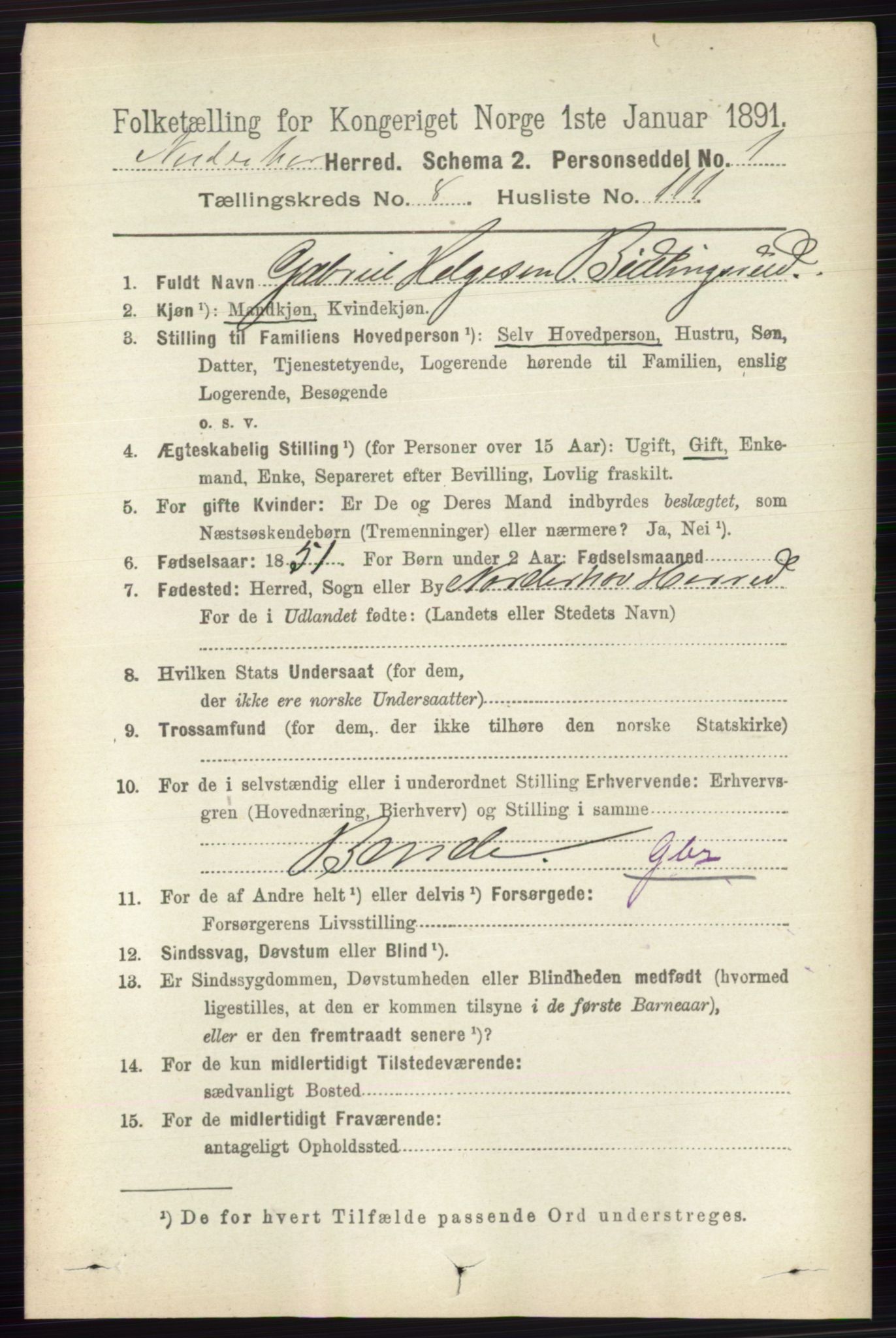 RA, 1891 census for 0613 Norderhov, 1891, p. 6182