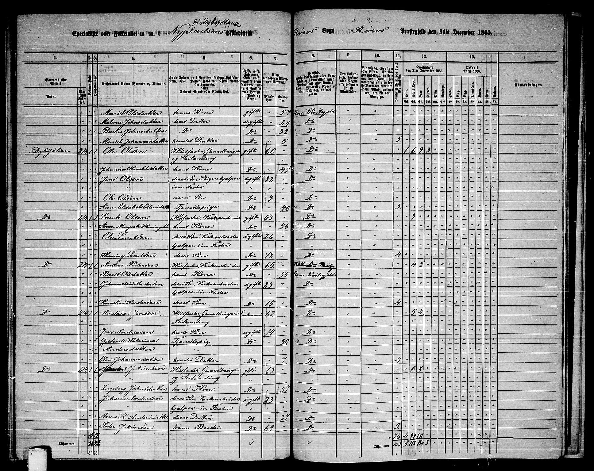 RA, 1865 census for Røros, 1865, p. 140