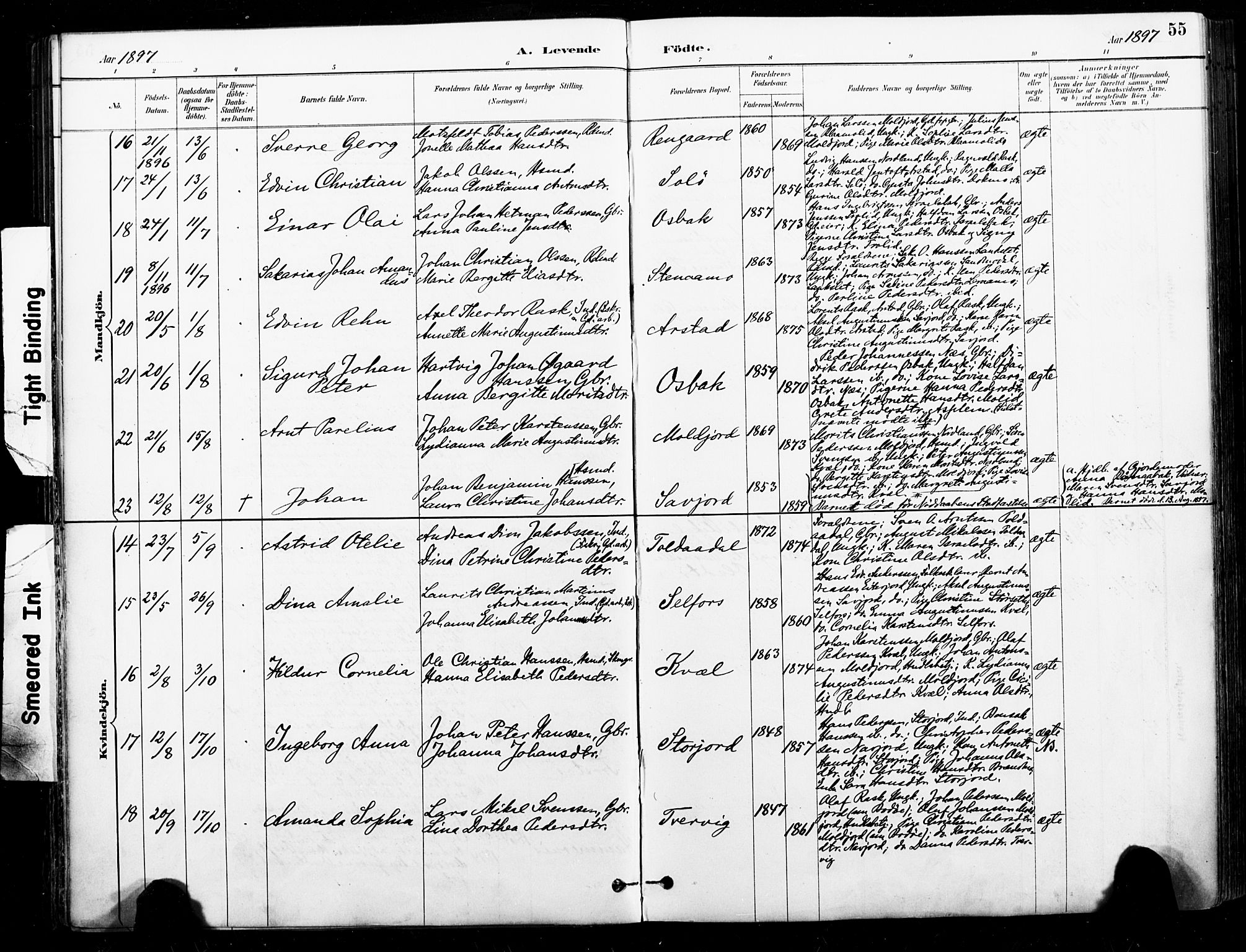 Ministerialprotokoller, klokkerbøker og fødselsregistre - Nordland, AV/SAT-A-1459/846/L0646: Parish register (official) no. 846A04, 1887-1901, p. 55