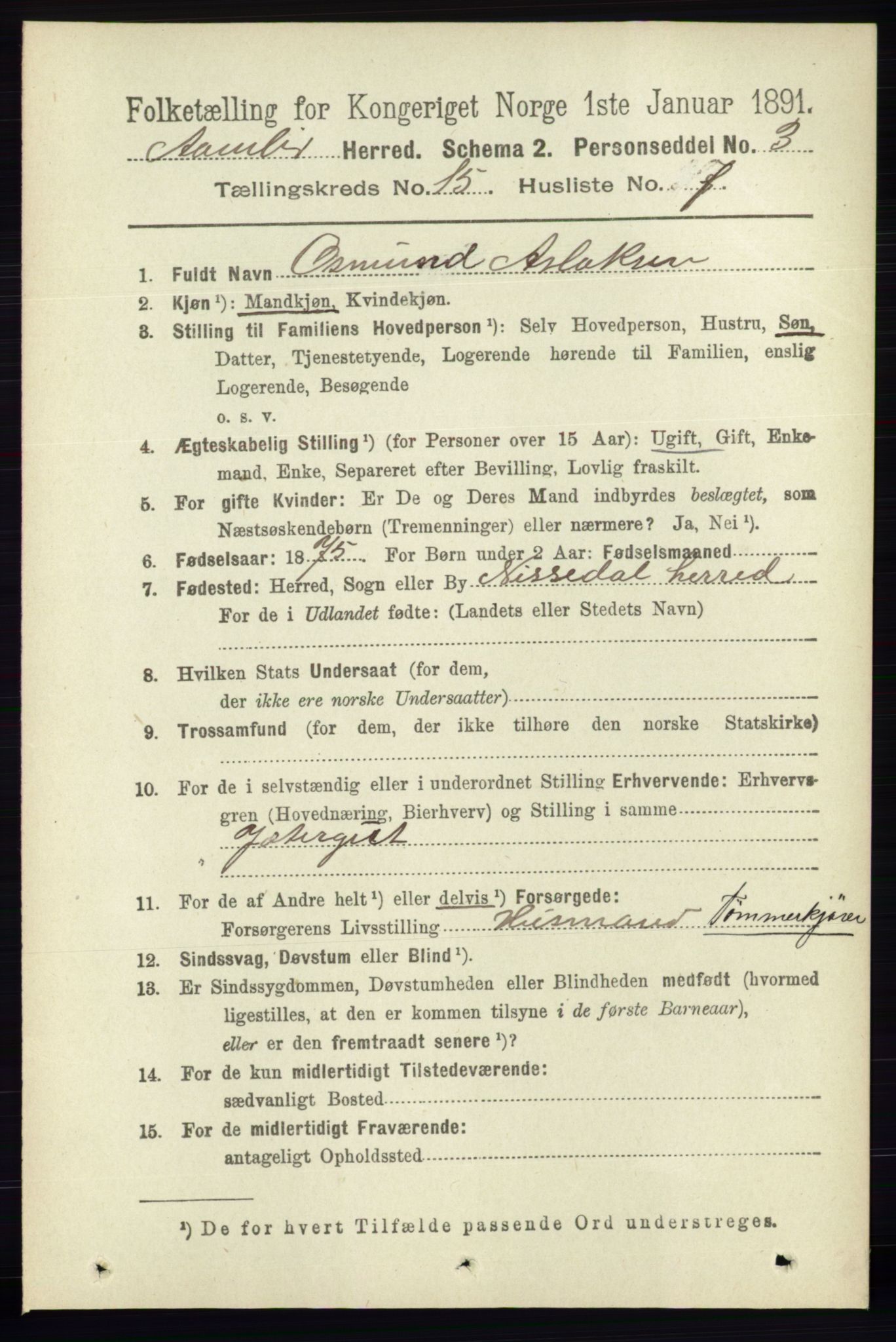 RA, 1891 census for 0929 Åmli, 1891, p. 2545