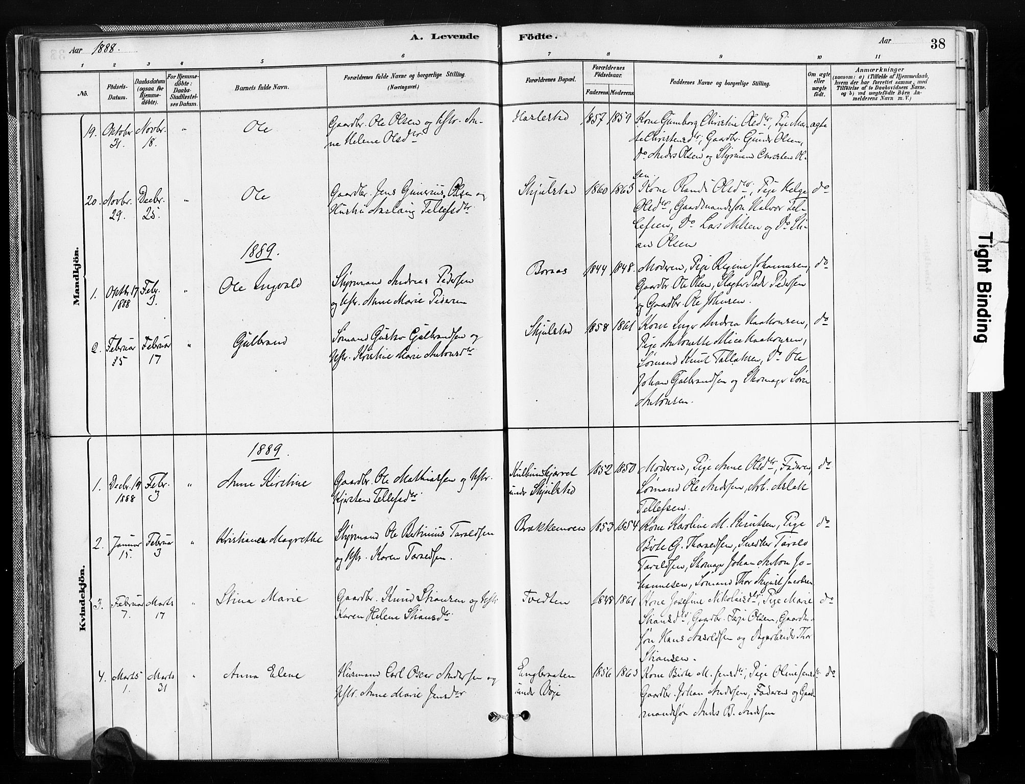 Austre Moland sokneprestkontor, SAK/1111-0001/F/Fa/Faa/L0010: Parish register (official) no. A 10, 1880-1904, p. 38