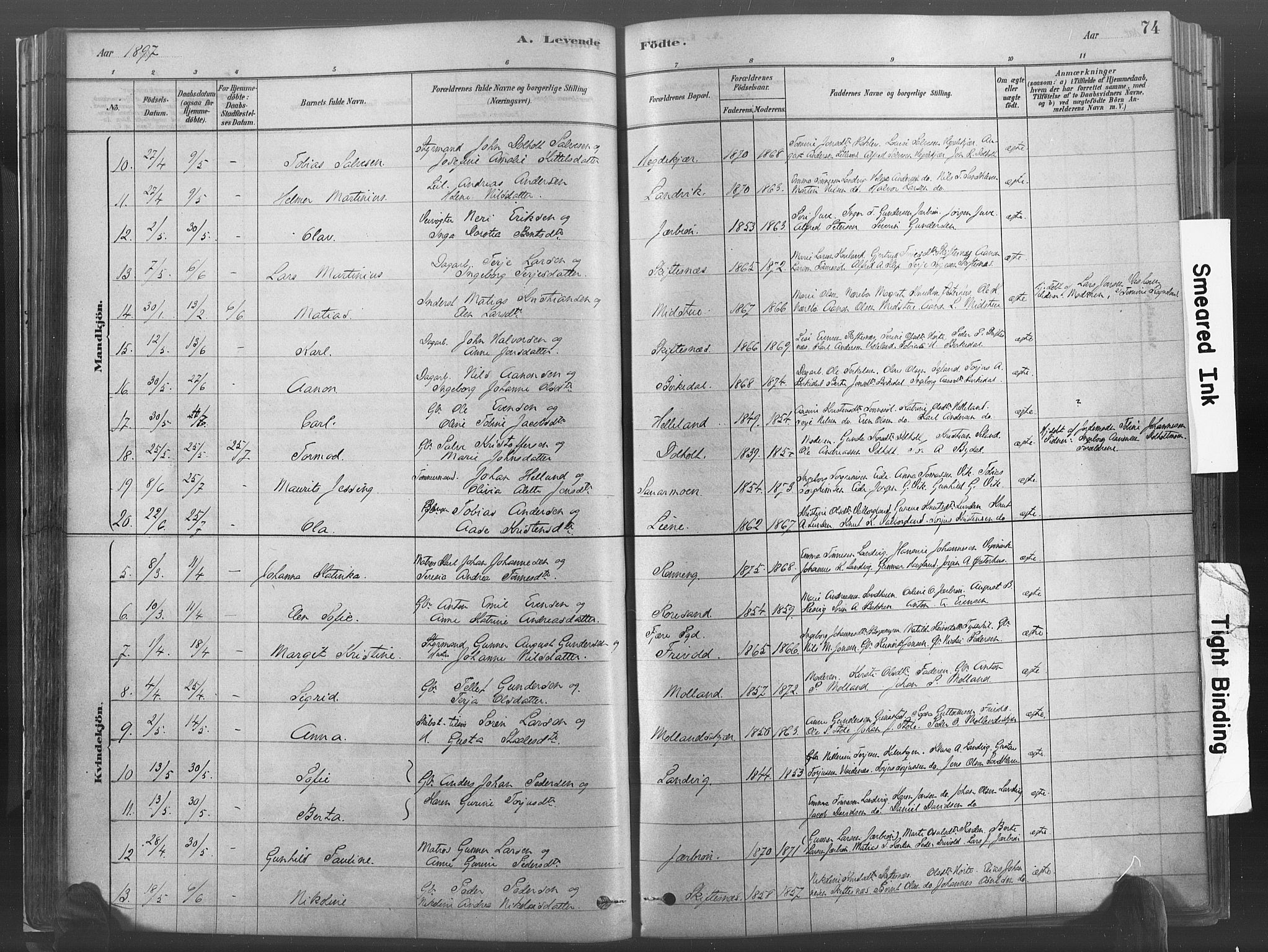 Hommedal sokneprestkontor, SAK/1111-0023/F/Fa/Fab/L0006: Parish register (official) no. A 6, 1878-1897, p. 74