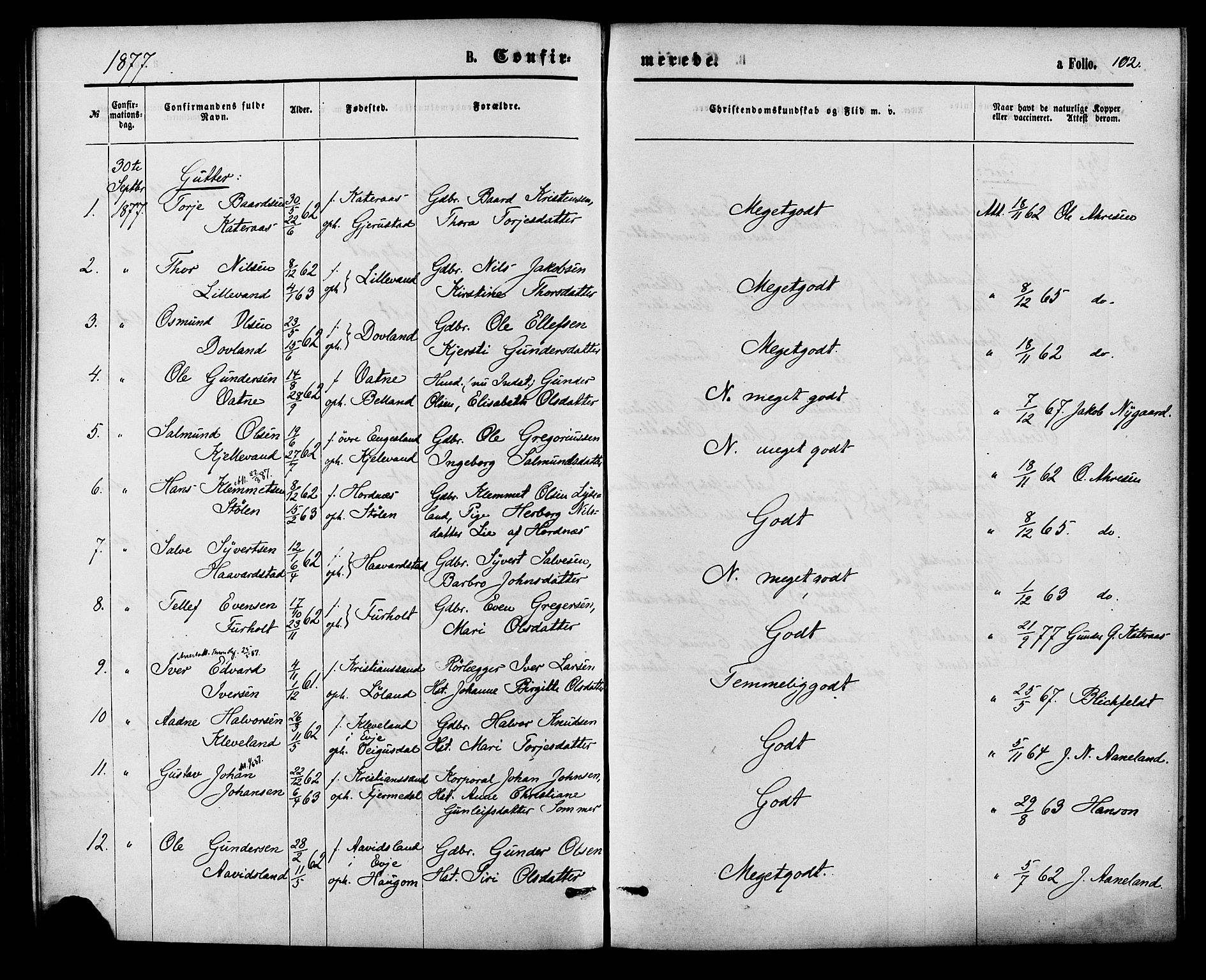 Herefoss sokneprestkontor, AV/SAK-1111-0019/F/Fa/Fab/L0003: Parish register (official) no. A 3, 1875-1886, p. 102