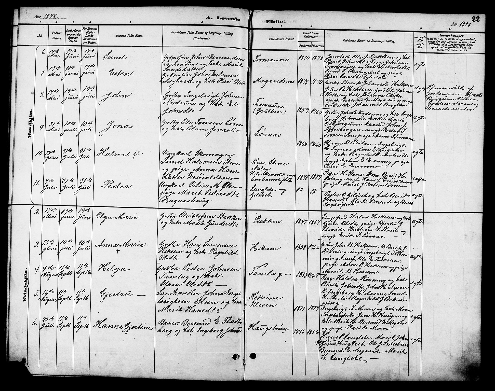 Ministerialprotokoller, klokkerbøker og fødselsregistre - Sør-Trøndelag, SAT/A-1456/685/L0978: Parish register (copy) no. 685C03, 1891-1907, p. 22
