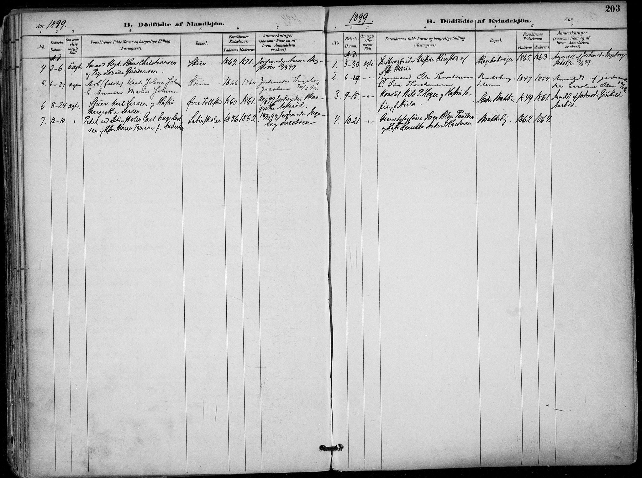 Skien kirkebøker, AV/SAKO-A-302/F/Fa/L0010: Parish register (official) no. 10, 1891-1899, p. 203