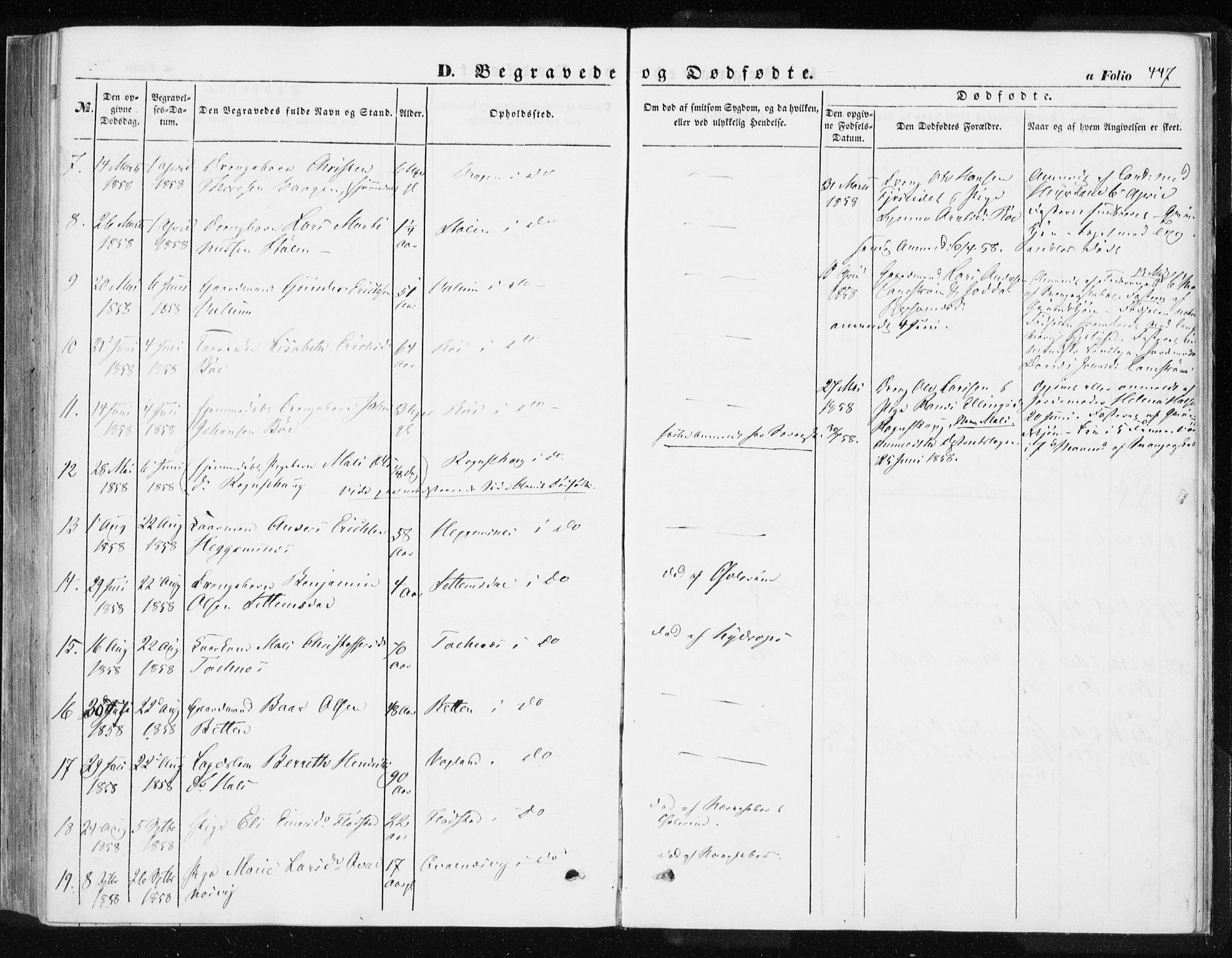 Ministerialprotokoller, klokkerbøker og fødselsregistre - Møre og Romsdal, AV/SAT-A-1454/576/L0883: Parish register (official) no. 576A01, 1849-1865, p. 447