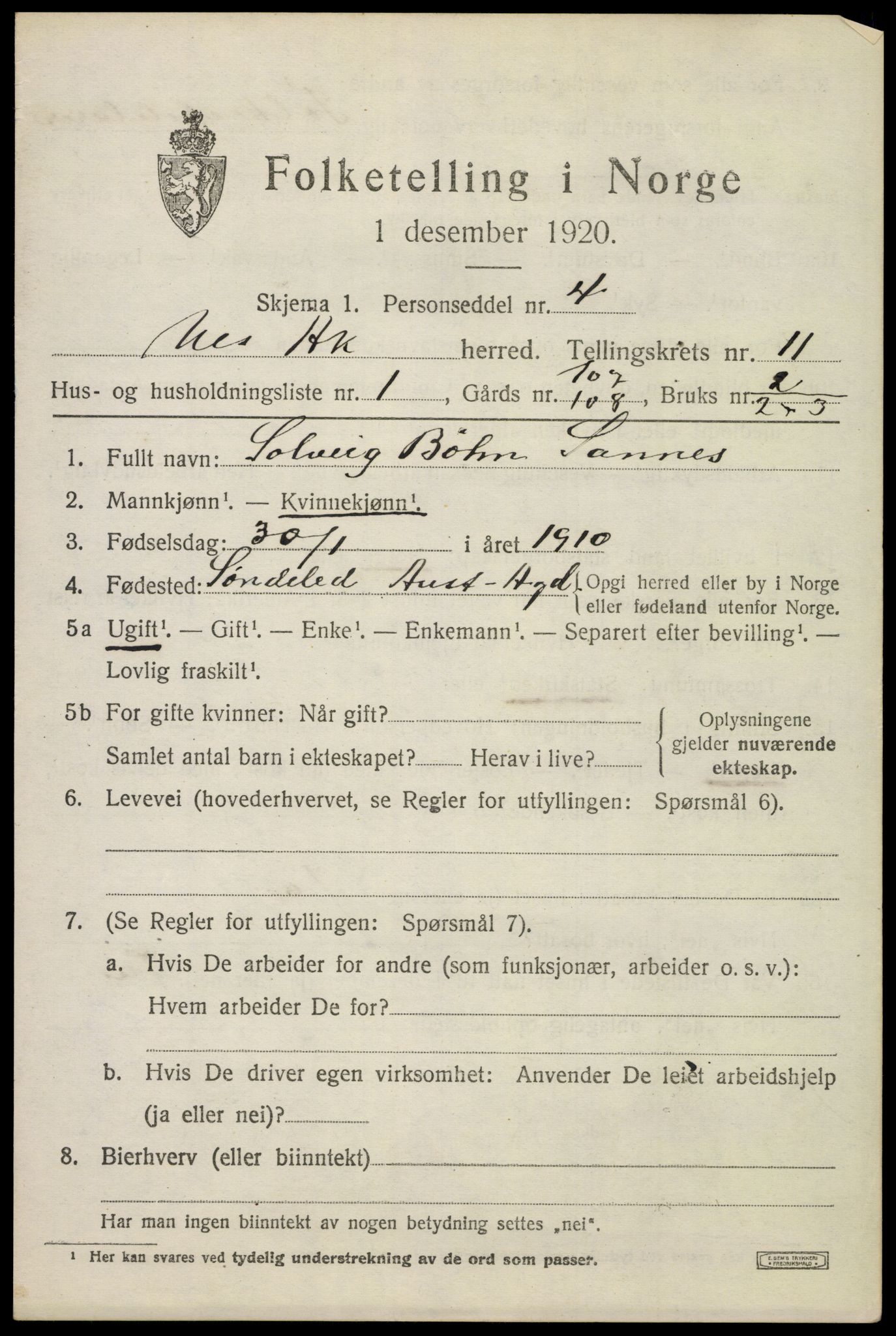 SAO, 1920 census for Nes, 1920, p. 11394