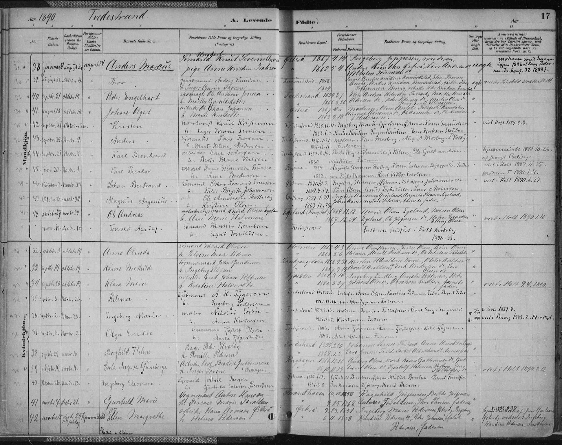 Tvedestrand sokneprestkontor, SAK/1111-0042/F/Fa/L0001: Parish register (official) no. A 1, 1885-1916, p. 17