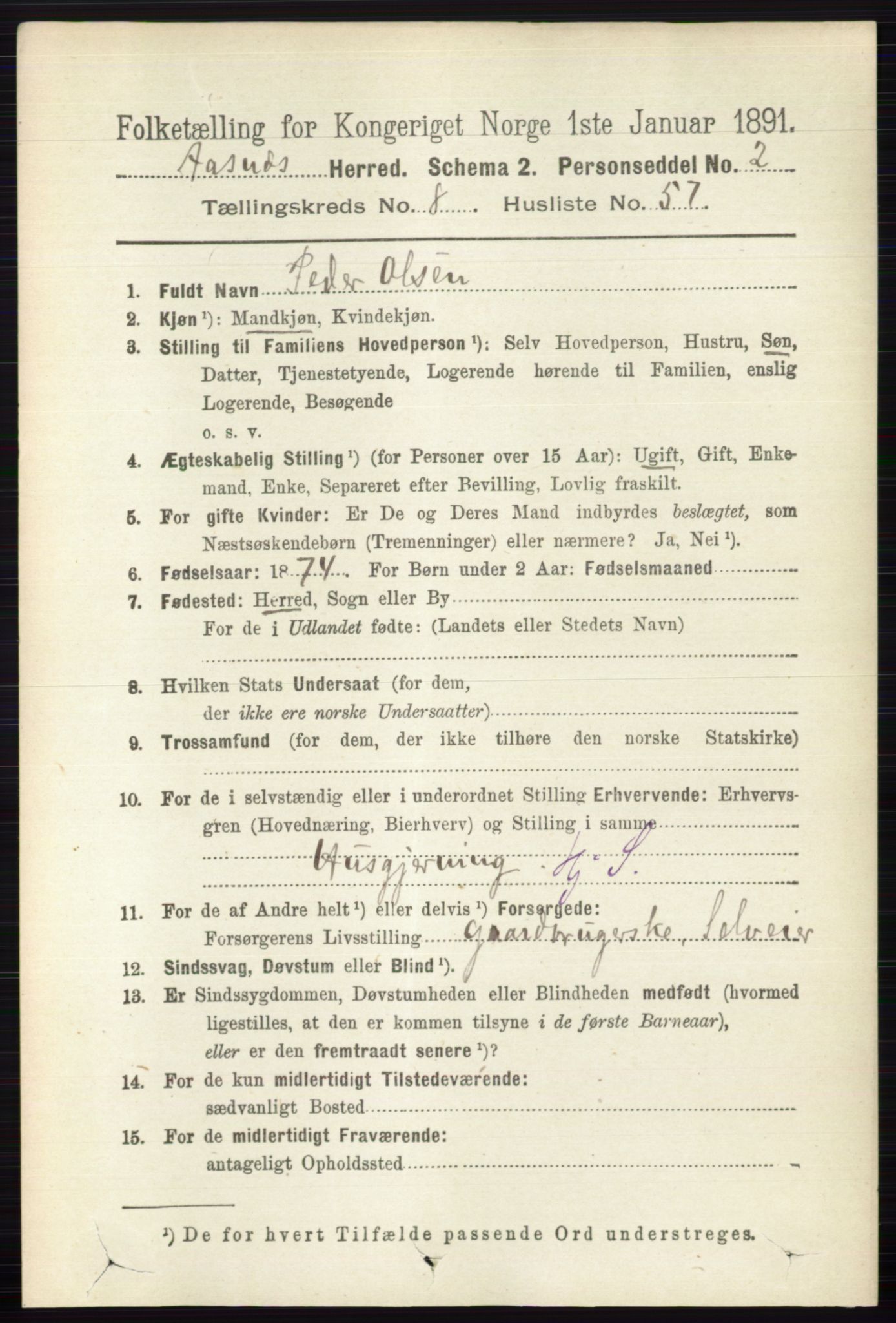 RA, 1891 census for 0425 Åsnes, 1891, p. 4541