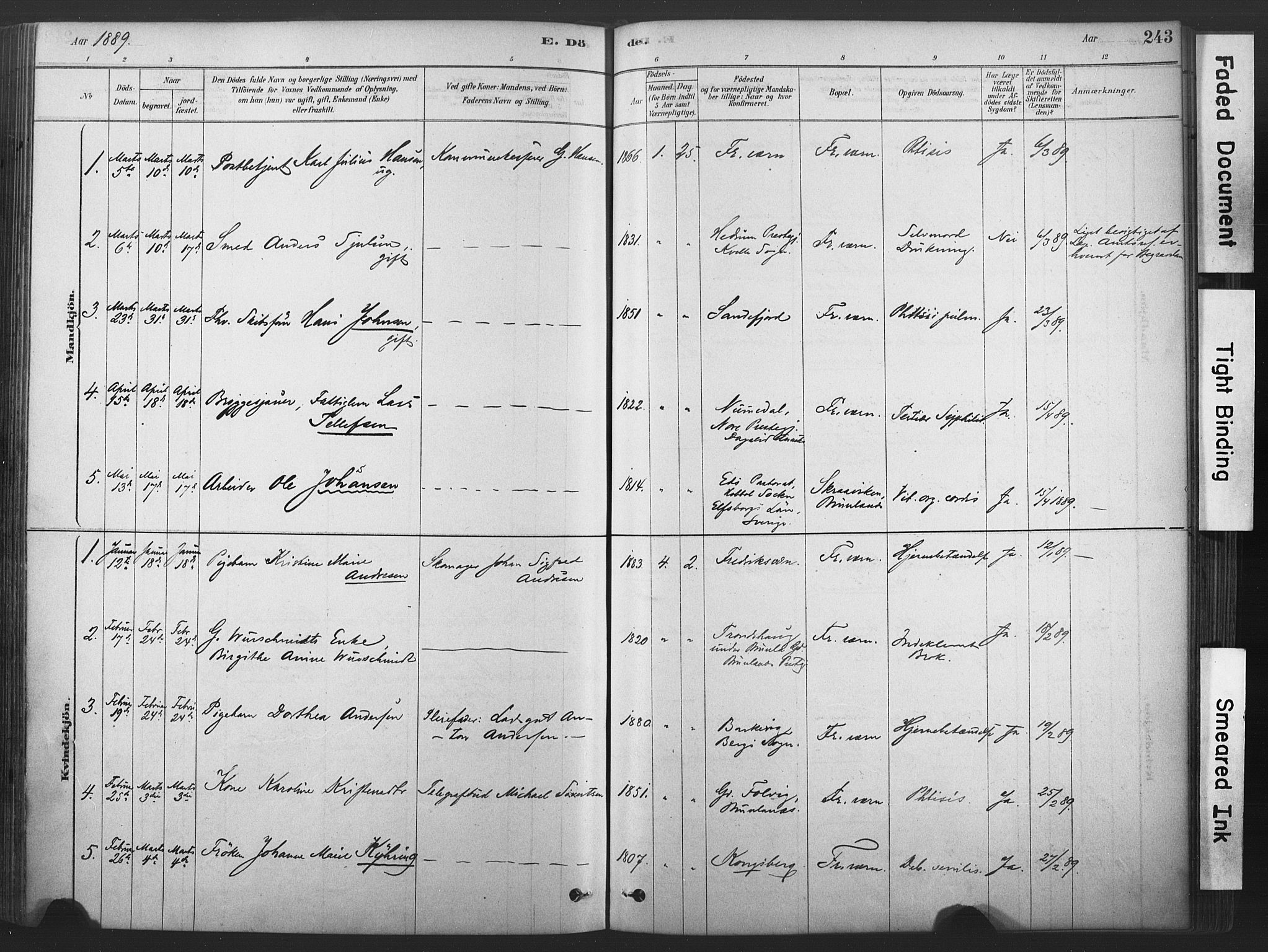 Stavern kirkebøker, AV/SAKO-A-318/F/Fa/L0008: Parish register (official) no. 8, 1878-1905, p. 243