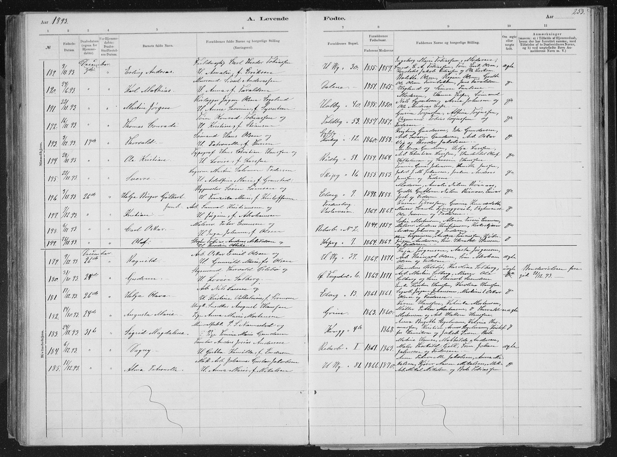 Kristiansand domprosti, SAK/1112-0006/F/Fb/L0014: Parish register (copy) no. B 14, 1881-1896, p. 253