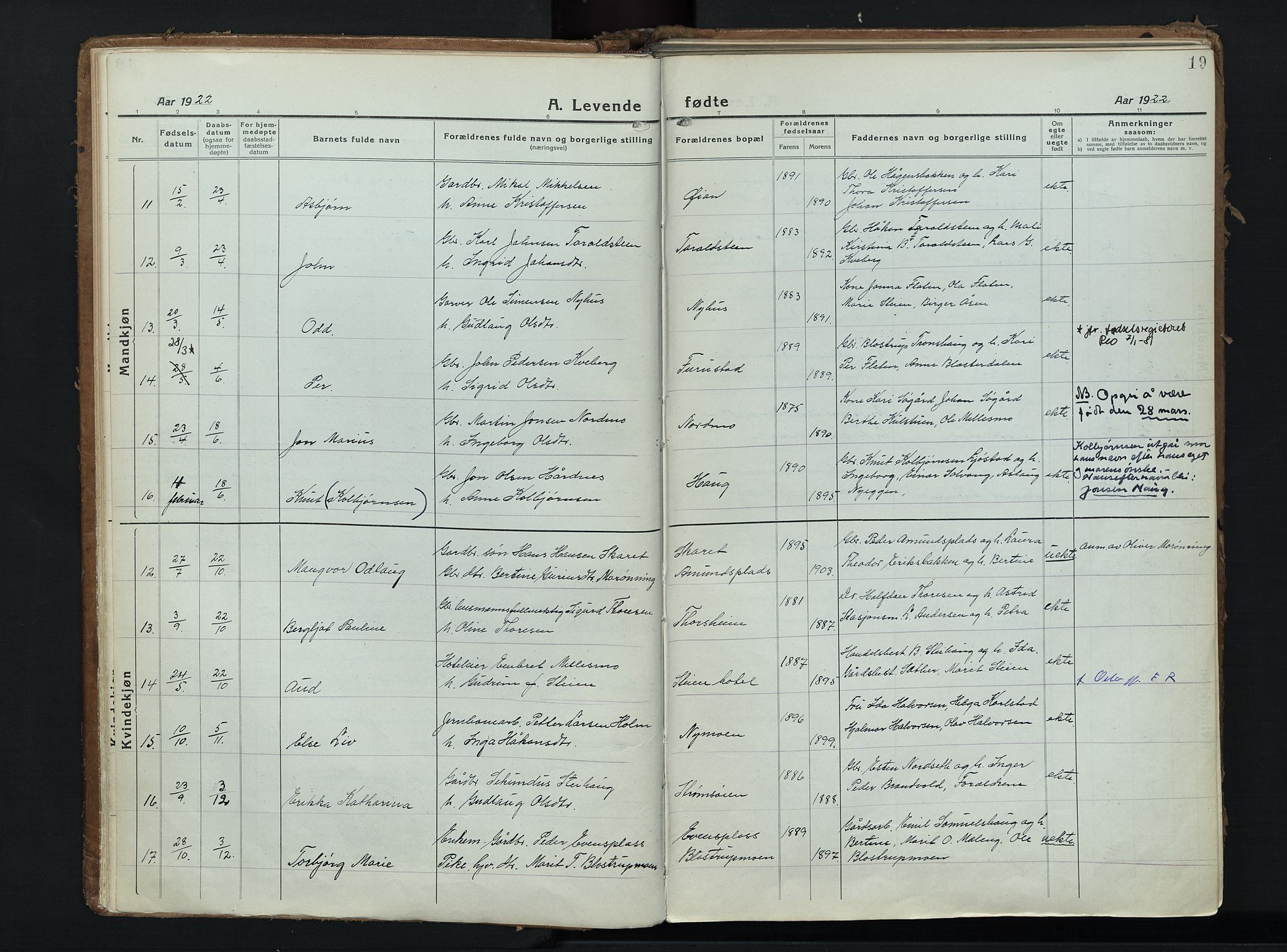 Alvdal prestekontor, AV/SAH-PREST-060/H/Ha/Haa/L0006: Parish register (official) no. 6, 1920-1937, p. 19