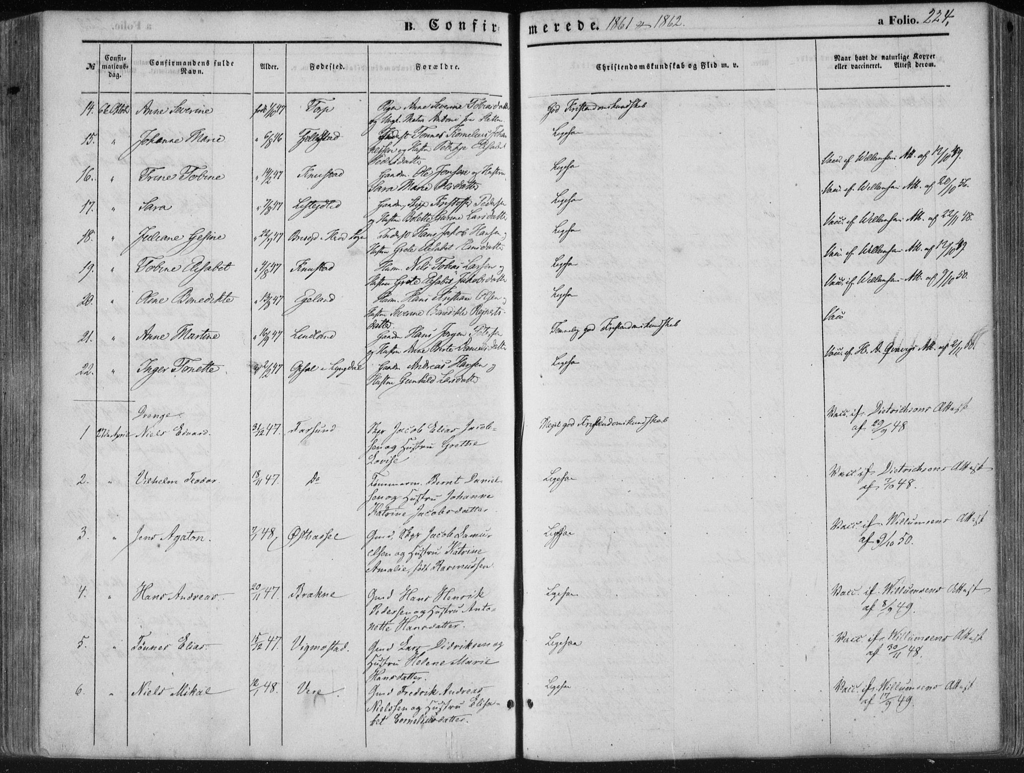 Lista sokneprestkontor, AV/SAK-1111-0027/F/Fa/L0011: Parish register (official) no. A 11, 1861-1878, p. 224