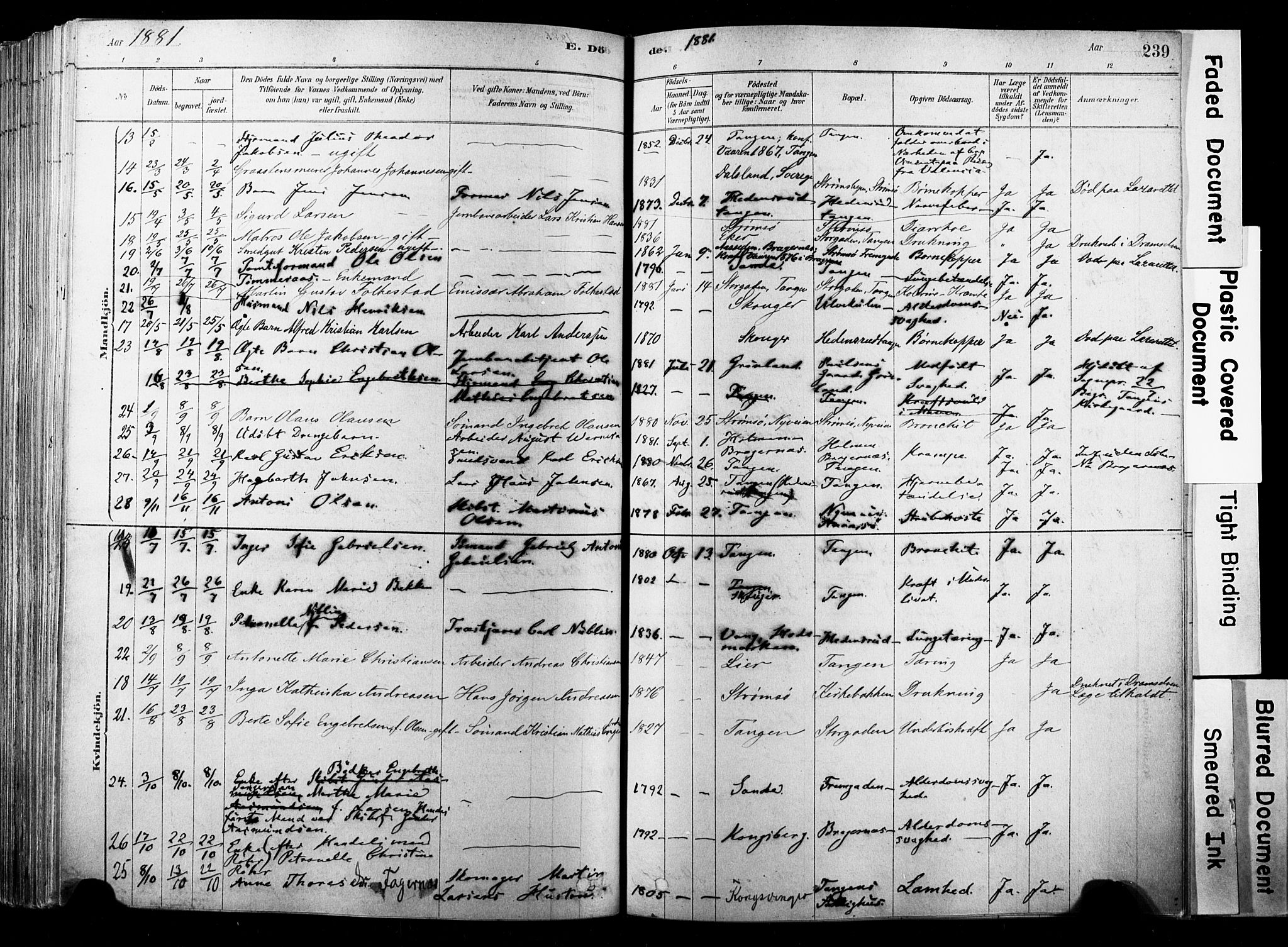 Strømsø kirkebøker, SAKO/A-246/F/Fb/L0006: Parish register (official) no. II 6, 1879-1910, p. 239