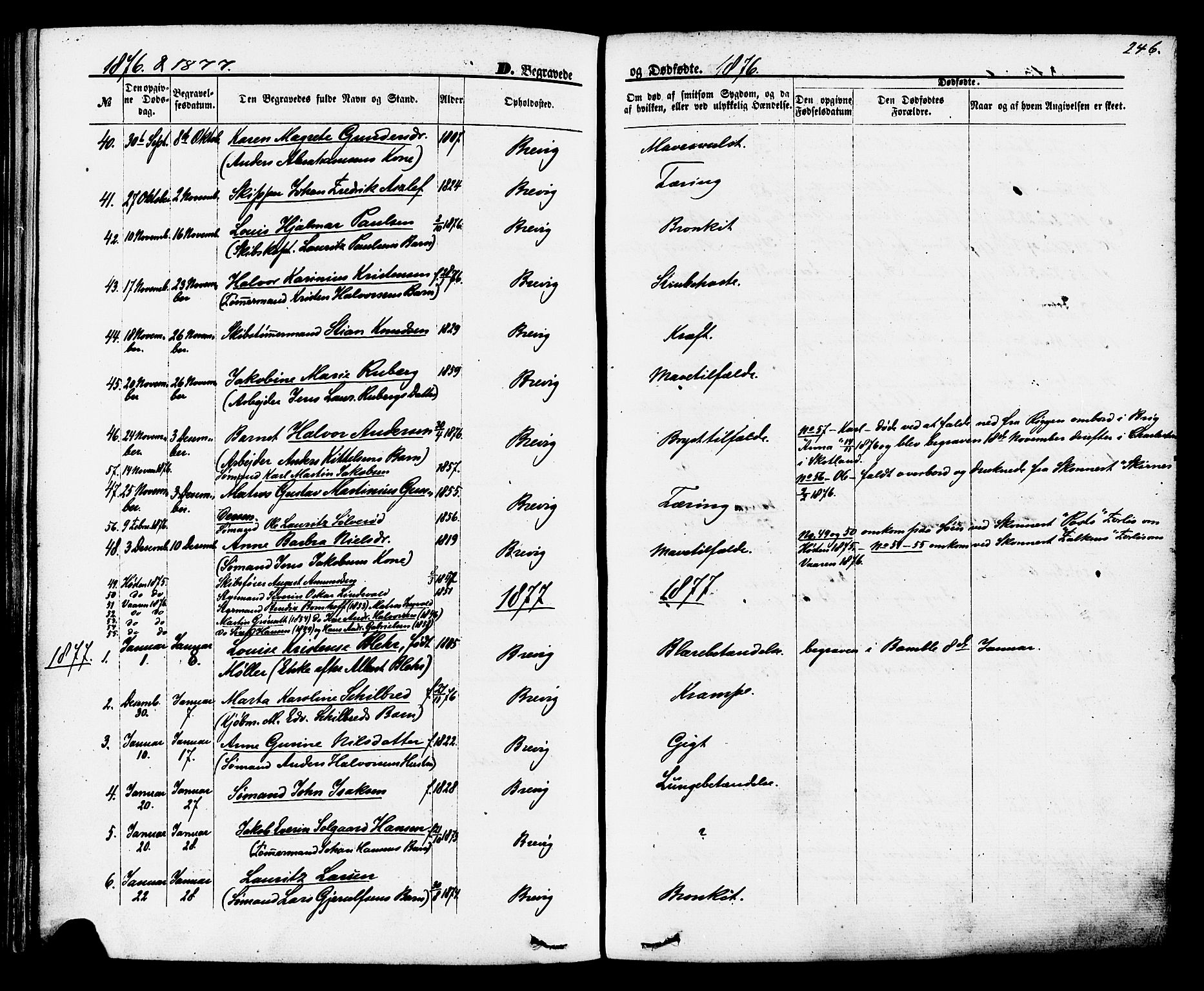 Brevik kirkebøker, AV/SAKO-A-255/F/Fa/L0006: Parish register (official) no. 6, 1866-1881, p. 246