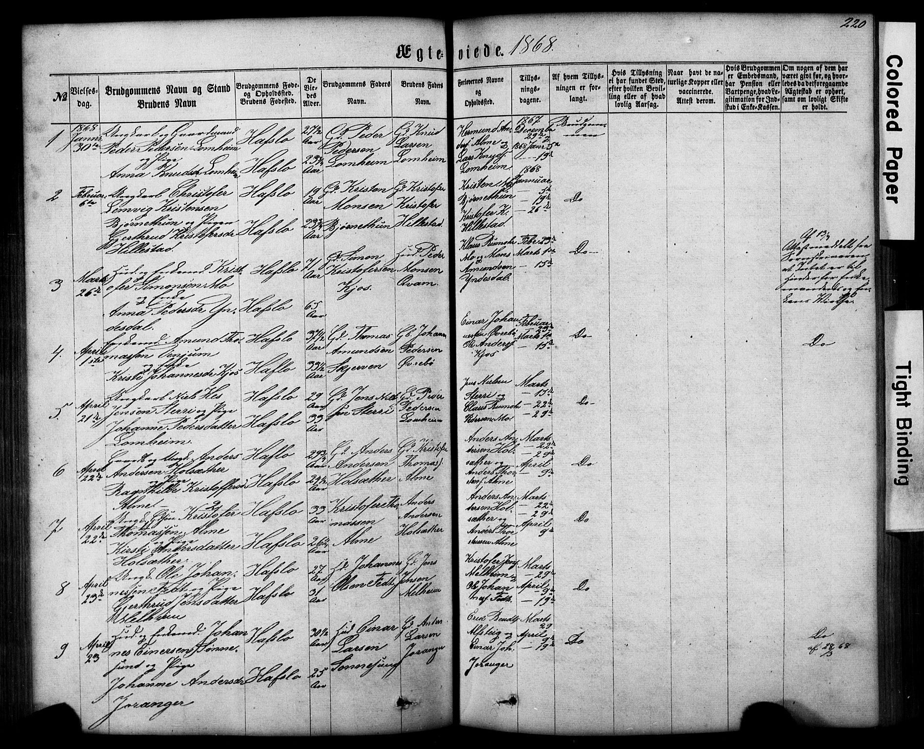 Hafslo sokneprestembete, SAB/A-80301/H/Hab/Haba/L0001: Parish register (copy) no. A 1, 1866-1908, p. 220