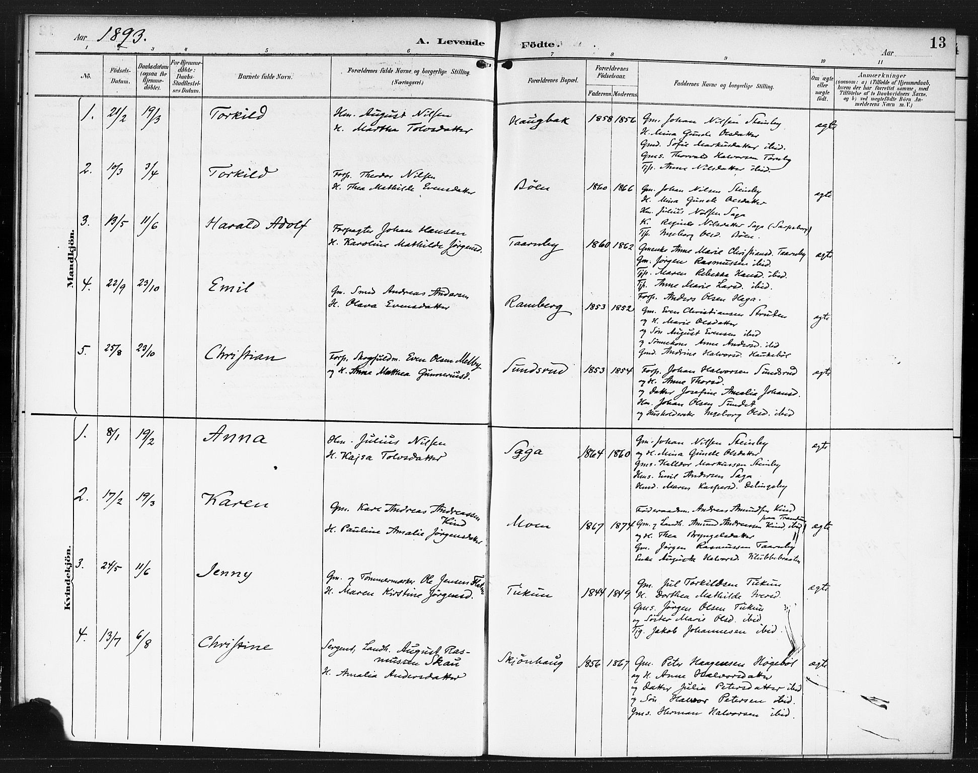 Rødenes prestekontor Kirkebøker, AV/SAO-A-2005/F/Fb/L0002: Parish register (official) no. II 2, 1890-1900, p. 13