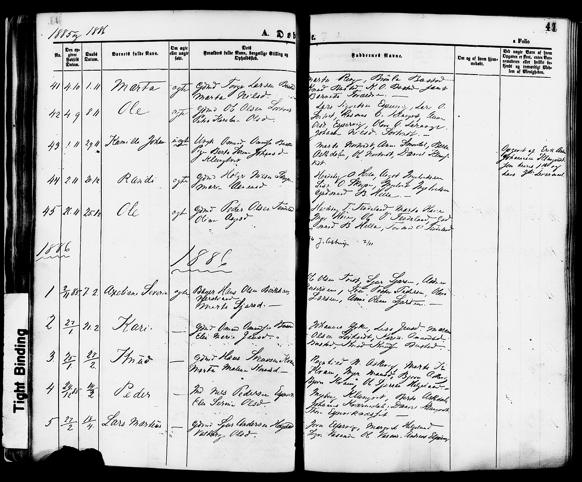 Nedstrand sokneprestkontor, SAST/A-101841/01/IV: Parish register (official) no. A 11, 1877-1887, p. 41
