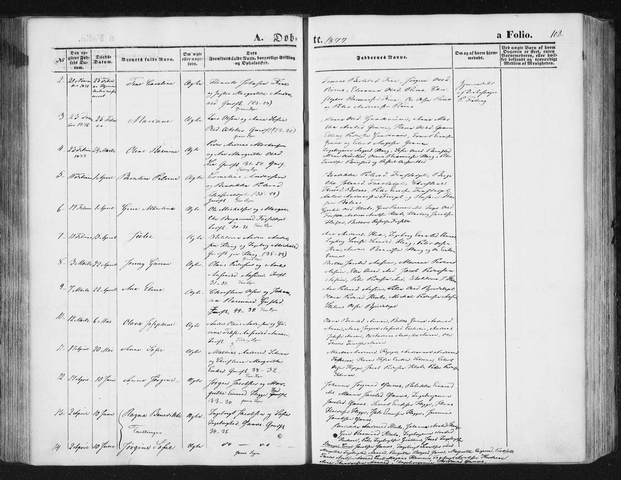 Ministerialprotokoller, klokkerbøker og fødselsregistre - Nord-Trøndelag, SAT/A-1458/746/L0447: Parish register (official) no. 746A06, 1860-1877, p. 102