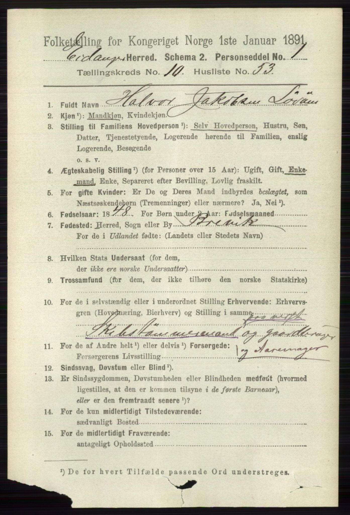 RA, 1891 census for 0813 Eidanger, 1891, p. 4199