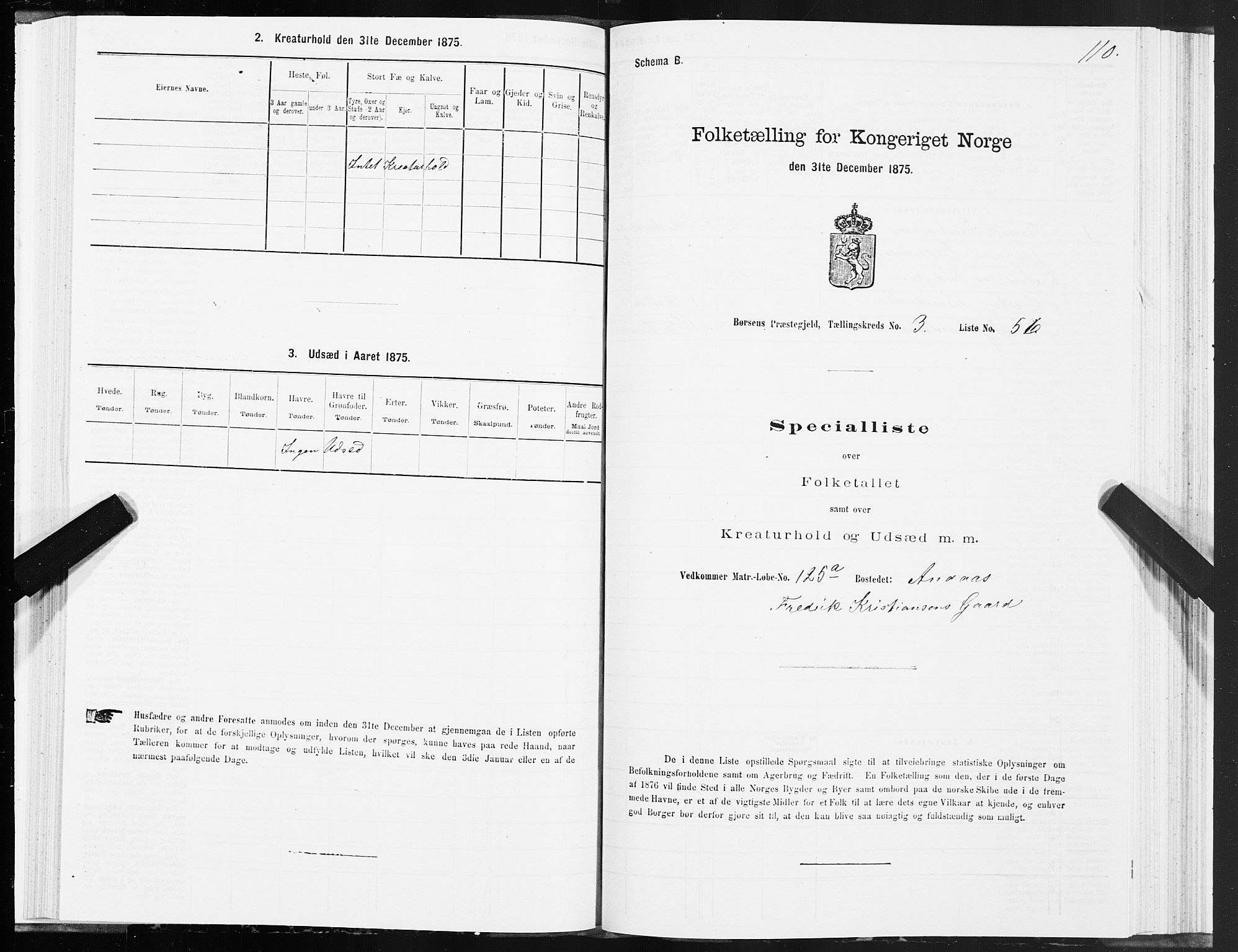 SAT, 1875 census for 1658P Børsa, 1875, p. 3110