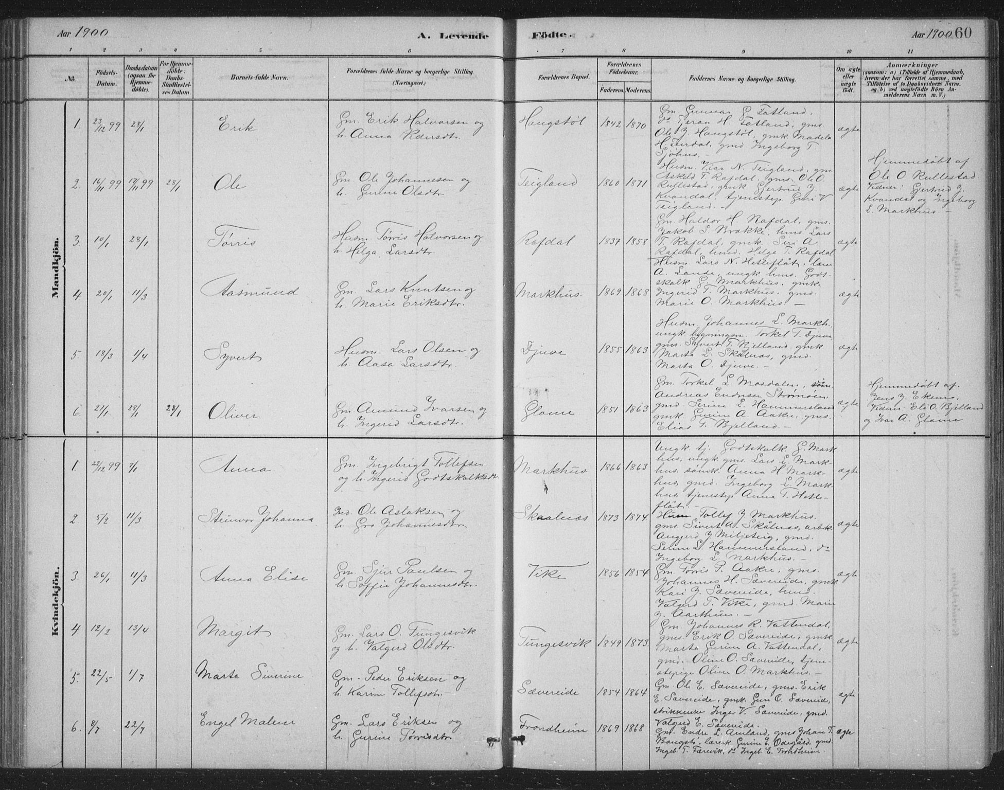 Skånevik sokneprestembete, SAB/A-77801/H/Hab: Parish register (copy) no. B 2, 1881-1920, p. 60