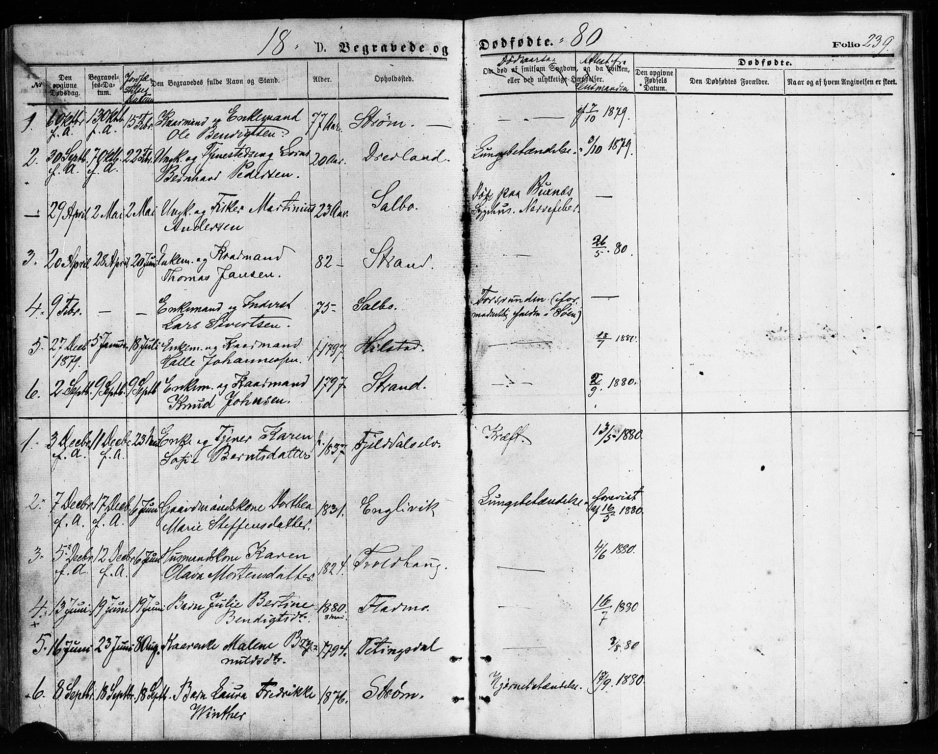 Ministerialprotokoller, klokkerbøker og fødselsregistre - Nordland, AV/SAT-A-1459/814/L0225: Parish register (official) no. 814A06, 1875-1885, p. 239