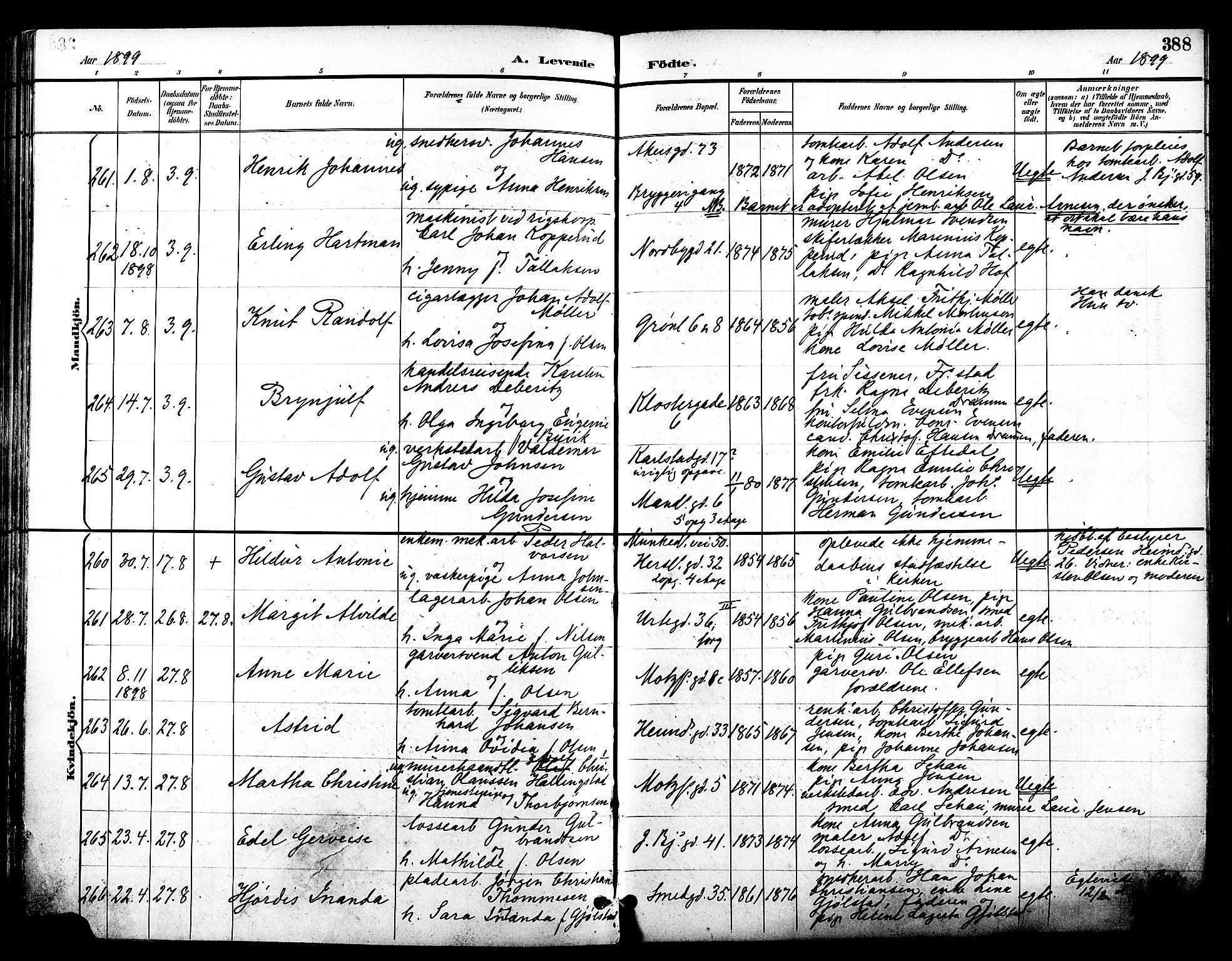 Grønland prestekontor Kirkebøker, SAO/A-10848/F/Fa/L0012: Parish register (official) no. 12, 1893-1900, p. 388