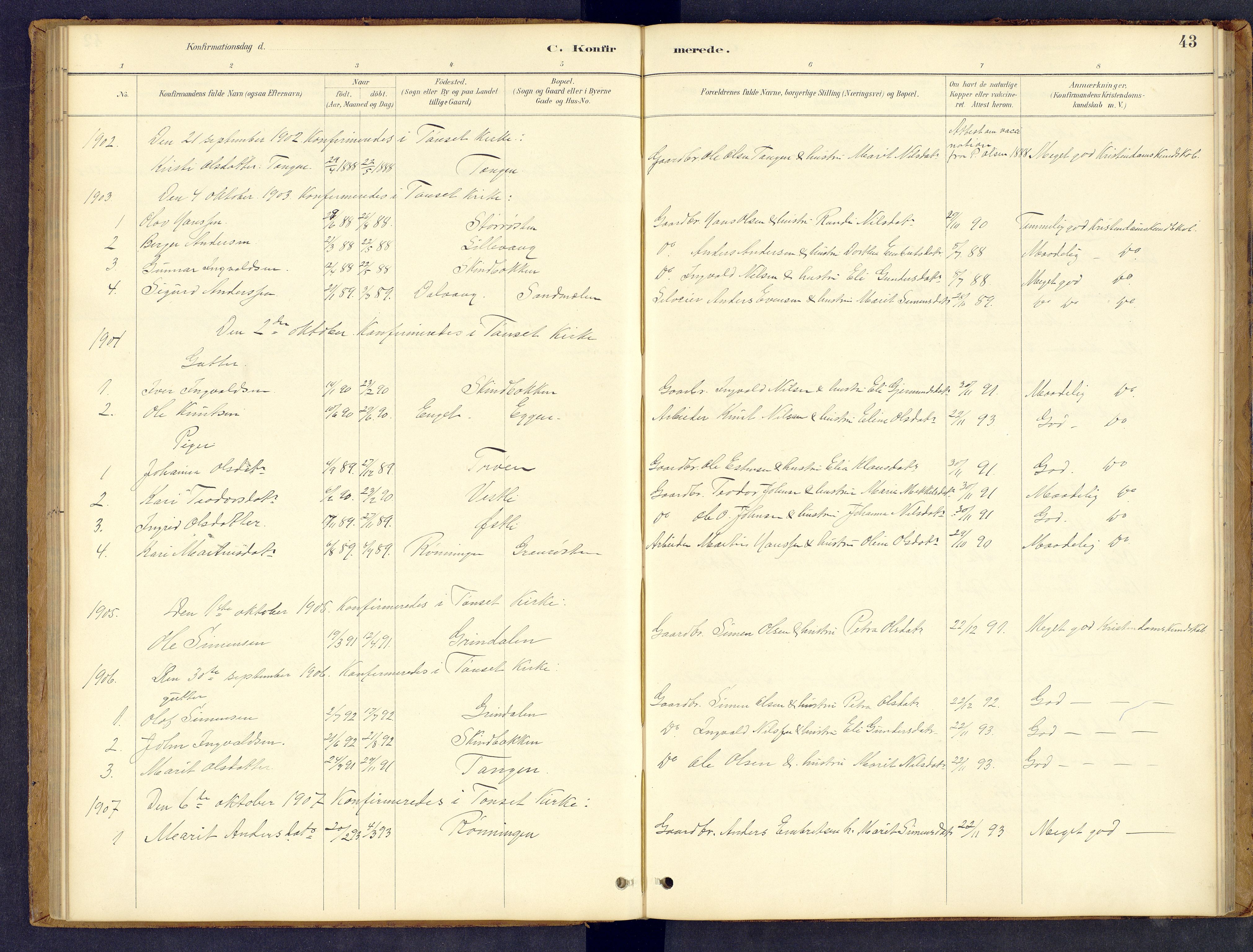 Tynset prestekontor, AV/SAH-PREST-058/H/Ha/Hab/L0008: Parish register (copy) no. 8, 1884-1916, p. 43