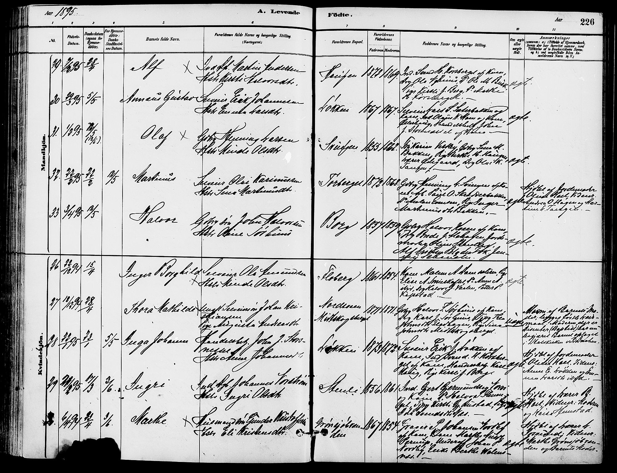 Trysil prestekontor, SAH/PREST-046/H/Ha/Haa/L0008: Parish register (official) no. 8, 1881-1897, p. 226