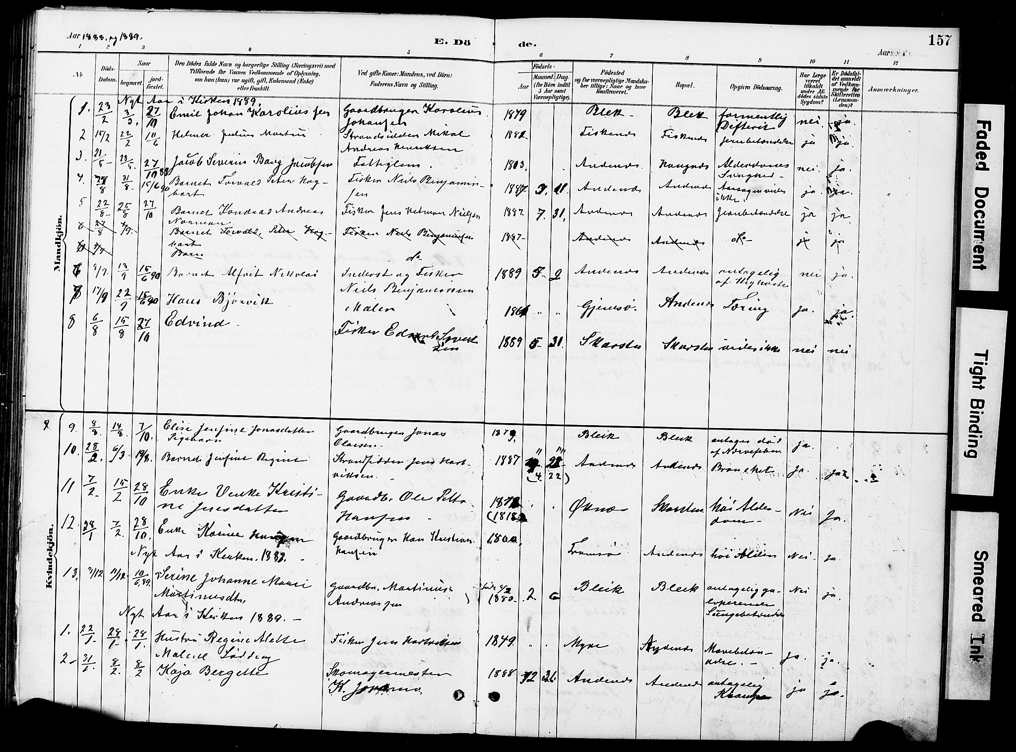 Ministerialprotokoller, klokkerbøker og fødselsregistre - Nordland, AV/SAT-A-1459/899/L1448: Parish register (copy) no. 899C03, 1887-1902, p. 157