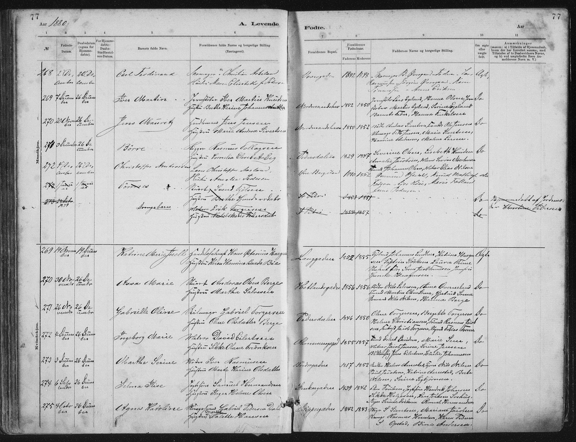 St. Petri sokneprestkontor, AV/SAST-A-101813/001/30/30BA/L0015: Parish register (official) no. A 15, 1879-1888, p. 77