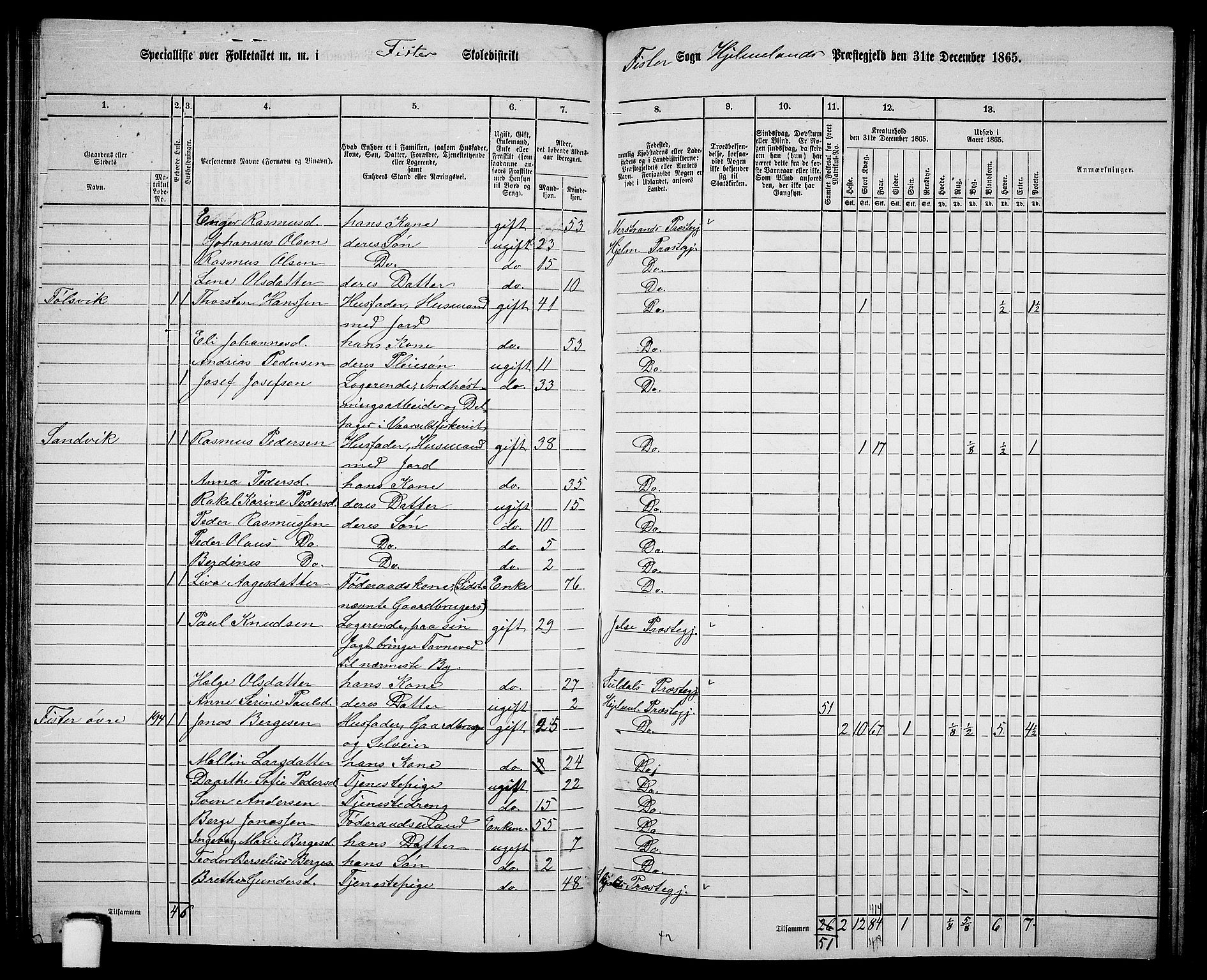 RA, 1865 census for Hjelmeland, 1865, p. 113