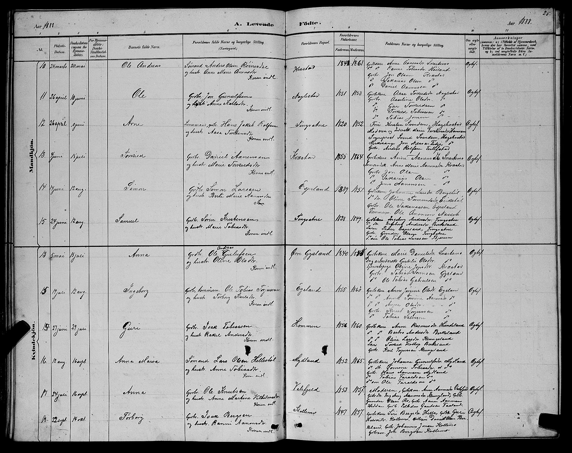 Hægebostad sokneprestkontor, SAK/1111-0024/F/Fb/Fba/L0003: Parish register (copy) no. B 3, 1883-1896, p. 25