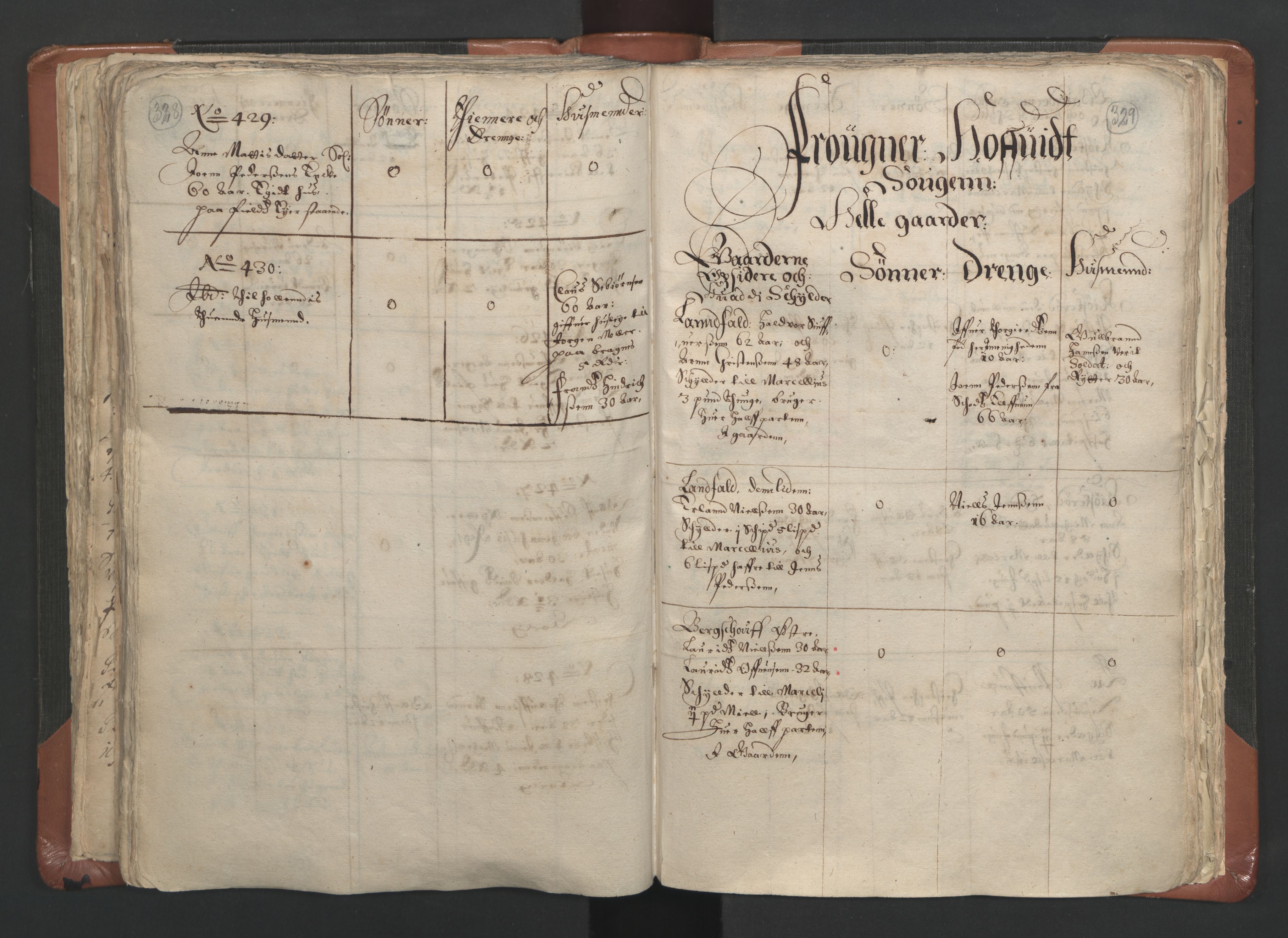 RA, Vicar's Census 1664-1666, no. 9: Bragernes deanery, 1664-1666, p. 328-329