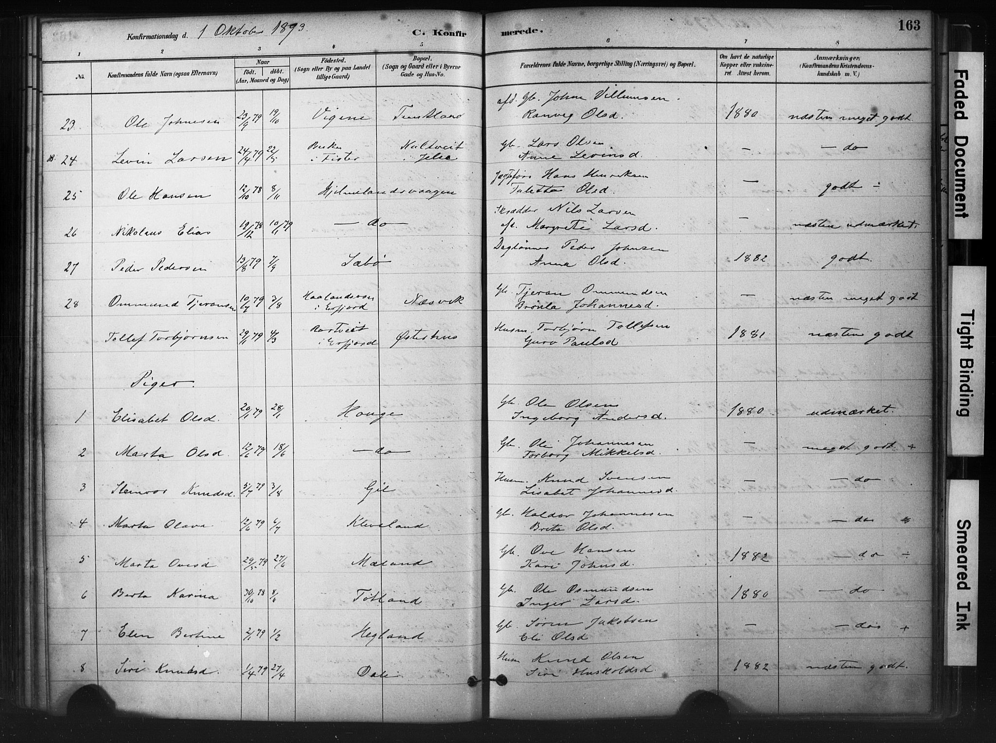 Hjelmeland sokneprestkontor, AV/SAST-A-101843/01/IV/L0014: Parish register (official) no. A 14, 1879-1900, p. 163