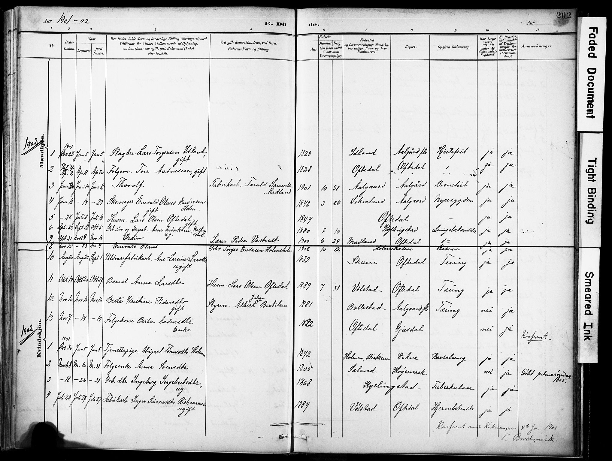 Lye sokneprestkontor, SAST/A-101794/001/30BA/L0012: Parish register (official) no. A 11, 1896-1909, p. 202