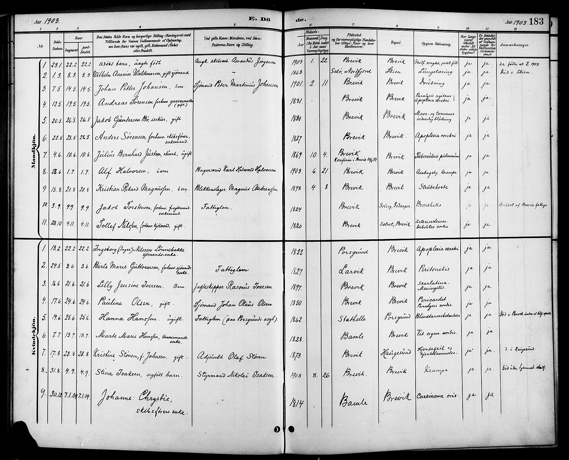 Brevik kirkebøker, AV/SAKO-A-255/G/Ga/L0005: Parish register (copy) no. 5, 1901-1924, p. 183