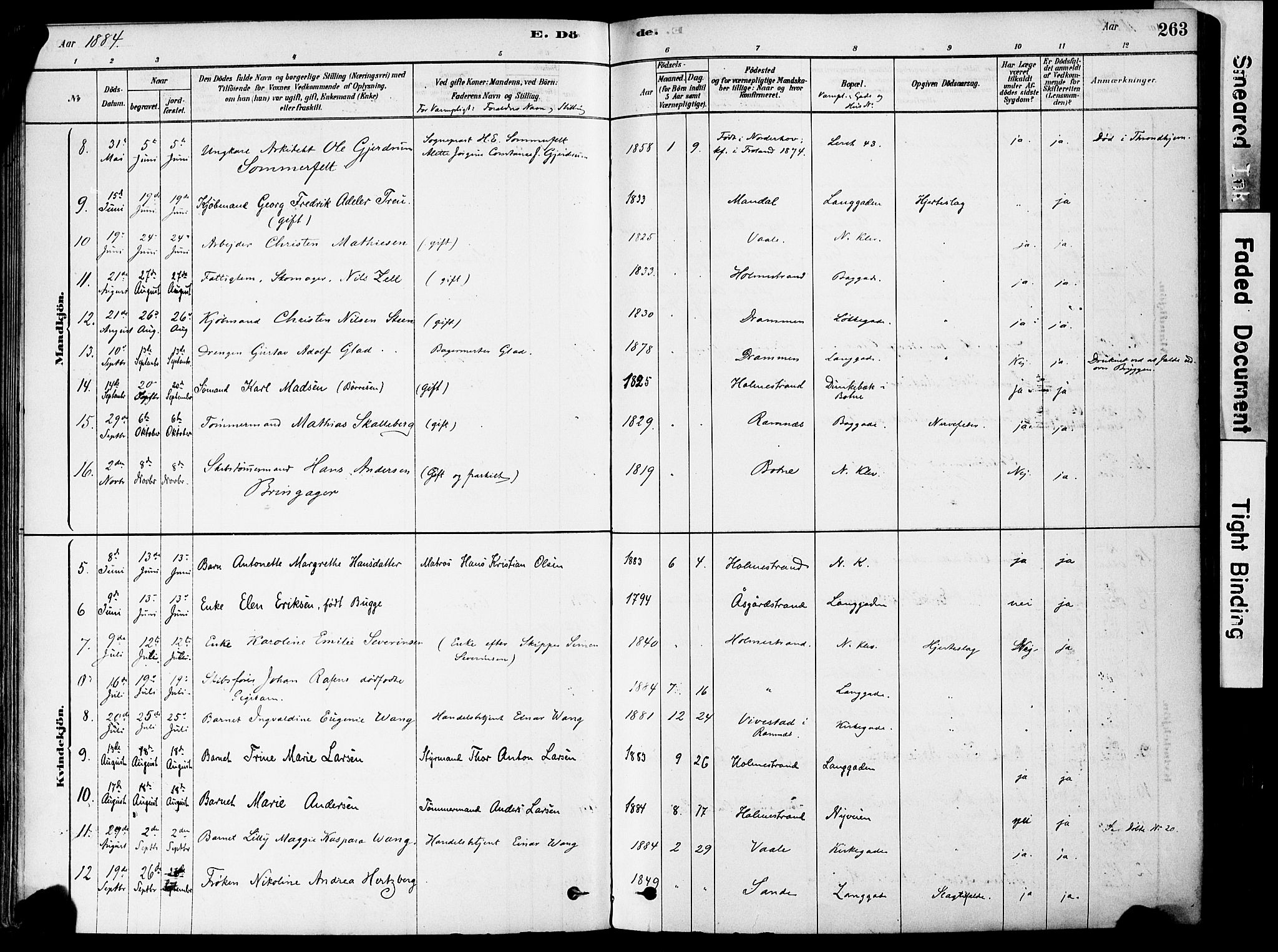 Holmestrand kirkebøker, AV/SAKO-A-346/F/Fa/L0004: Parish register (official) no. 4, 1880-1901, p. 263