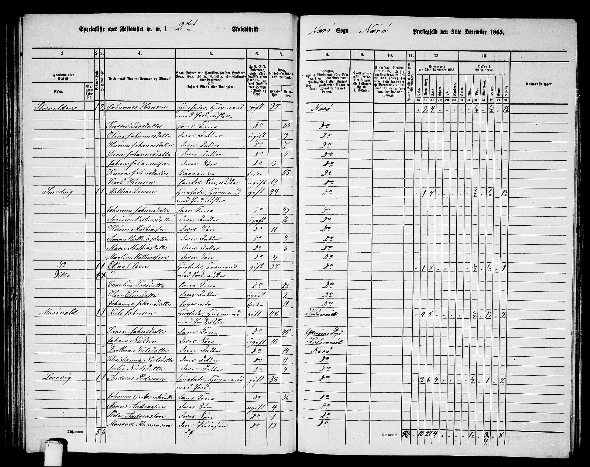 RA, 1865 census for Nærøy, 1865, p. 62