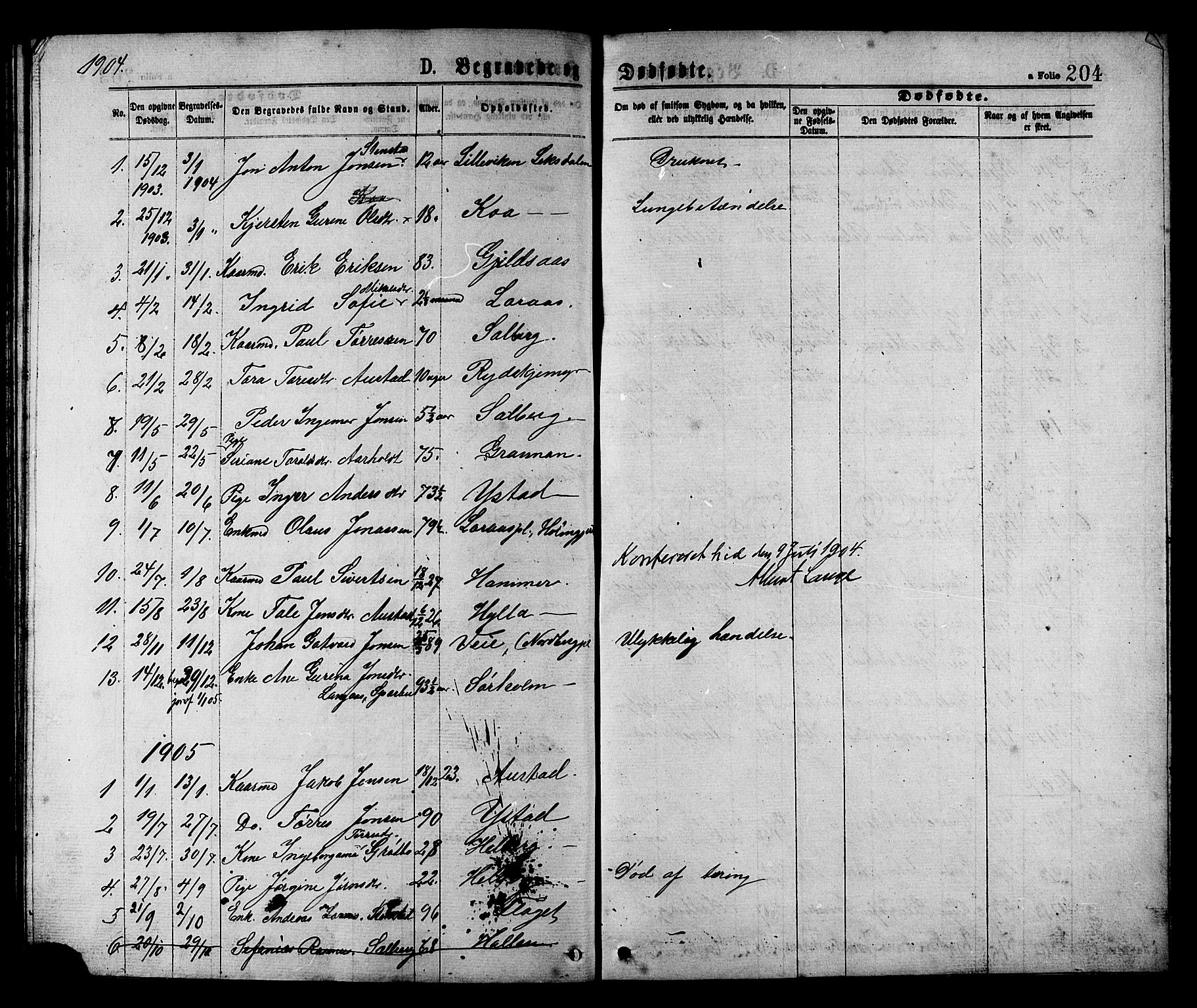Ministerialprotokoller, klokkerbøker og fødselsregistre - Nord-Trøndelag, SAT/A-1458/731/L0311: Parish register (copy) no. 731C02, 1875-1911, p. 204